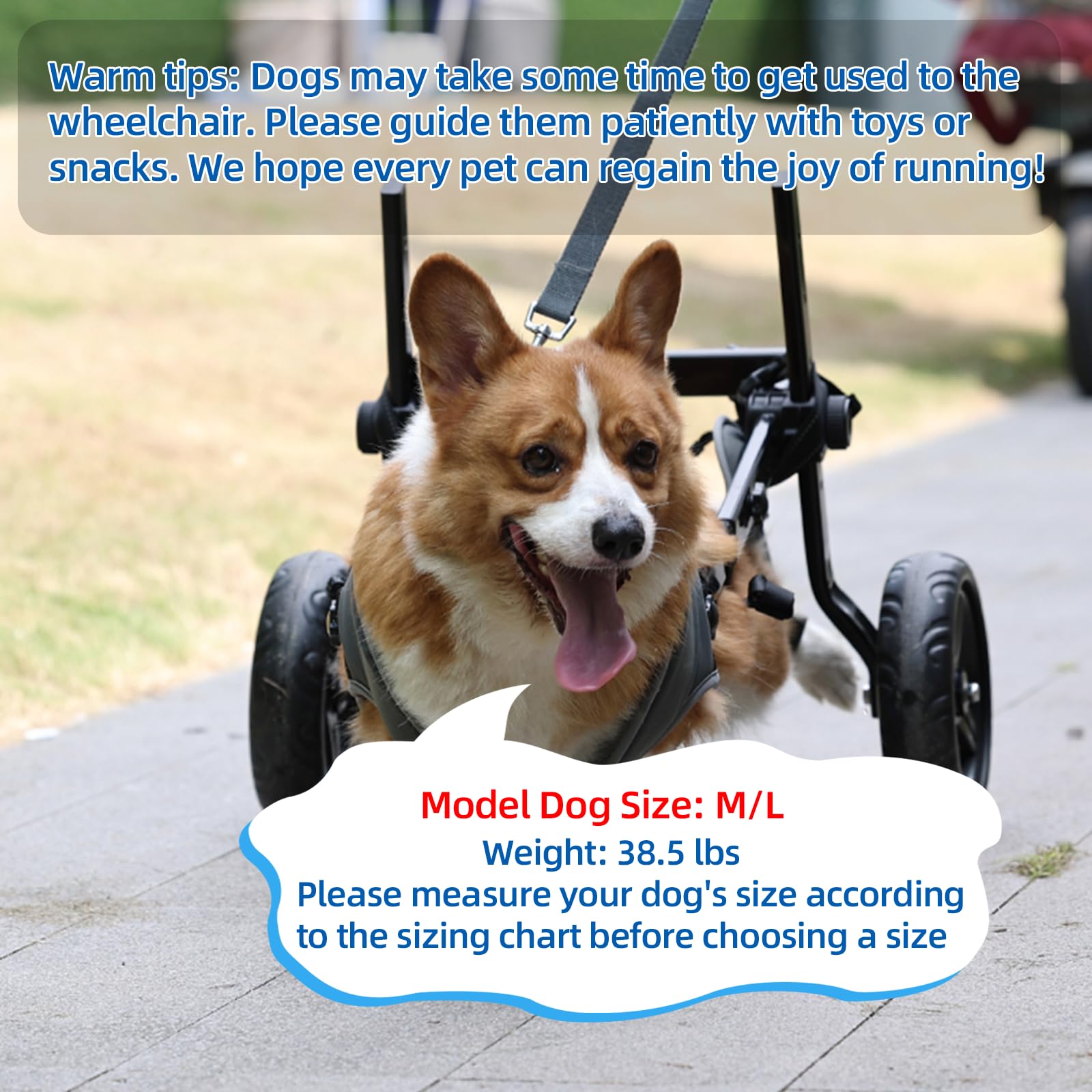 BECROWM Dog Wheelchair for Back Legs, Dog&Pet Corgi Wheelchair Cart with Disabled Hind Legs Walking, Medium Sized and Large Dogs