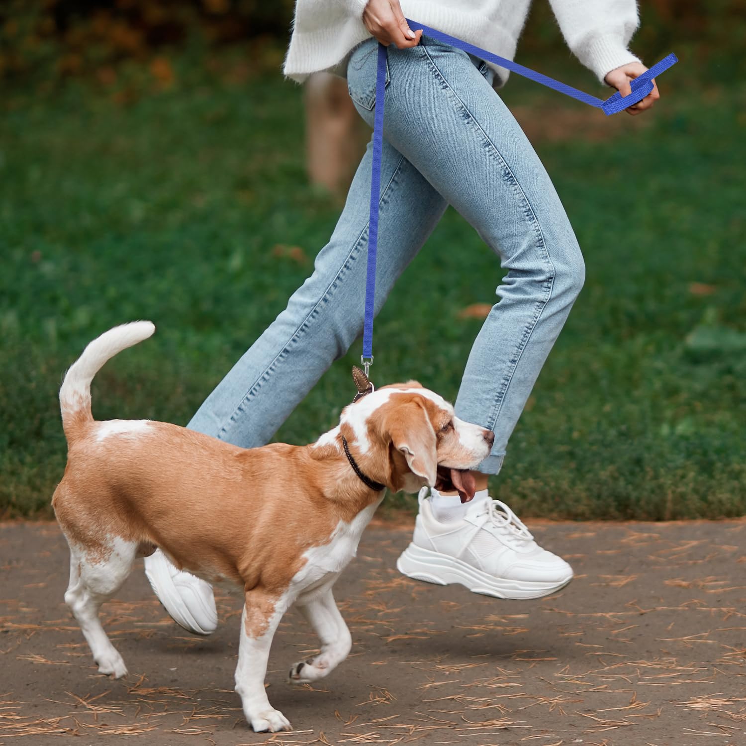 Hypeety Pet Dog Training Leash Strong Durable Nylon Lead, Traction Rope, 5 Feet Long For Puppy Kitty Rabbit Training Or Walk 3 P