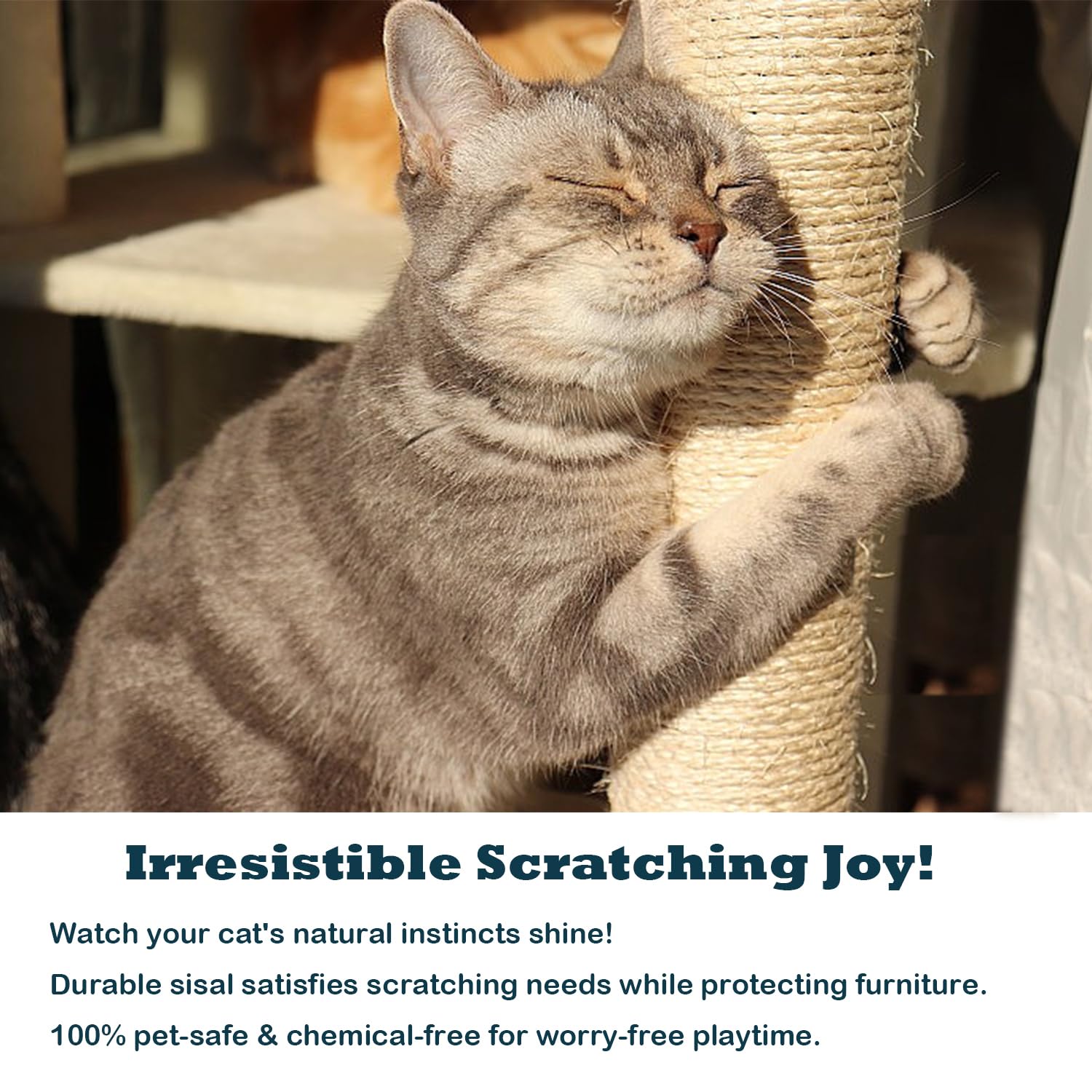 Treasborn Natural Sisal White Rope For Cat Scratcher Scratching Post Replacement 1/4 Inch Cat Tree Rope For Repairing, Recovering Or Diy Cat Scratcher 50/100/164 Feet