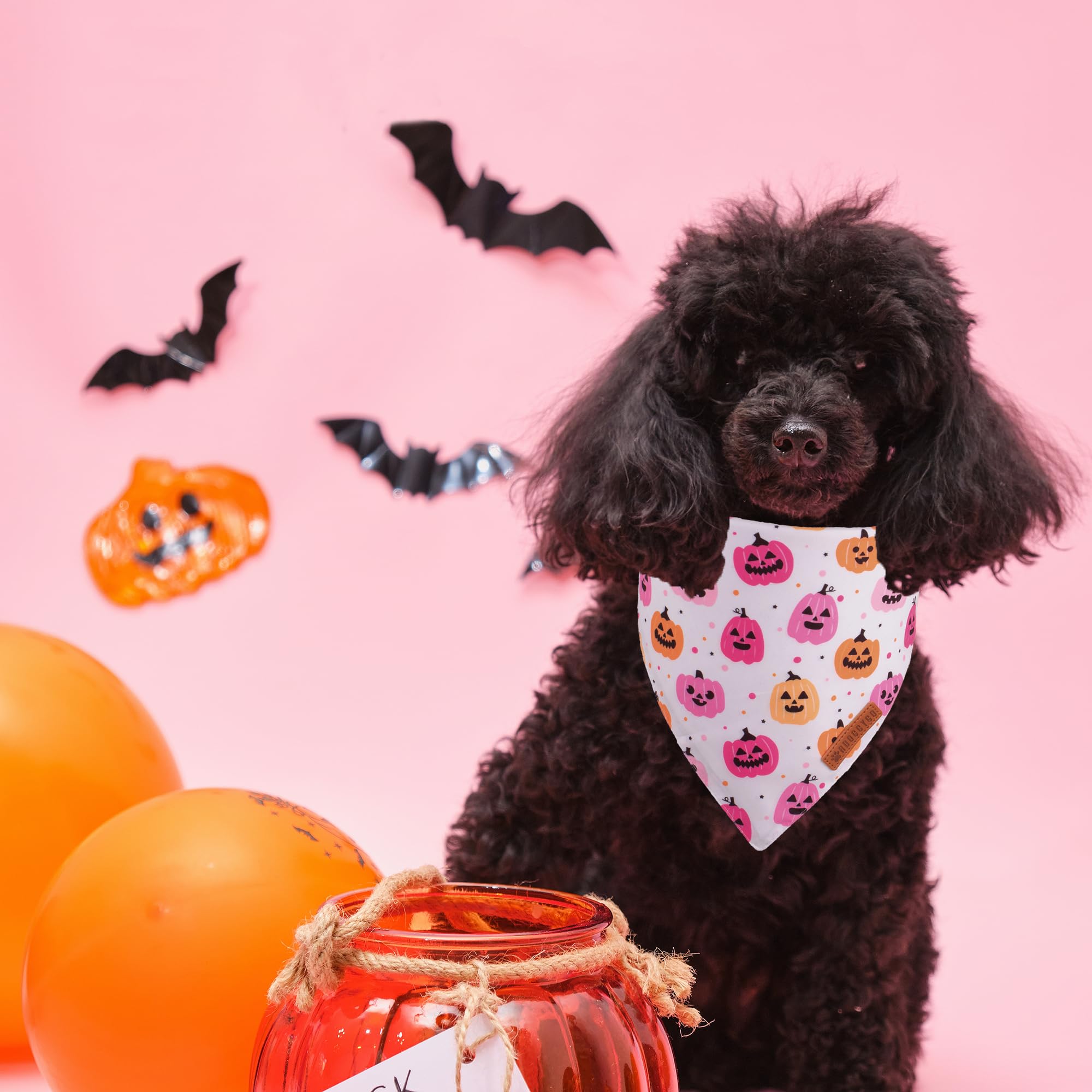 Adoggygo Halloween Dog Bandana, Halloween Pumpkin Ghost Dog Scarf, Premium Durable Fabric, Adjustable Fit Female Dog Halloween Bandanas For Small Dogs Puppies Cats (Small, Halloween)