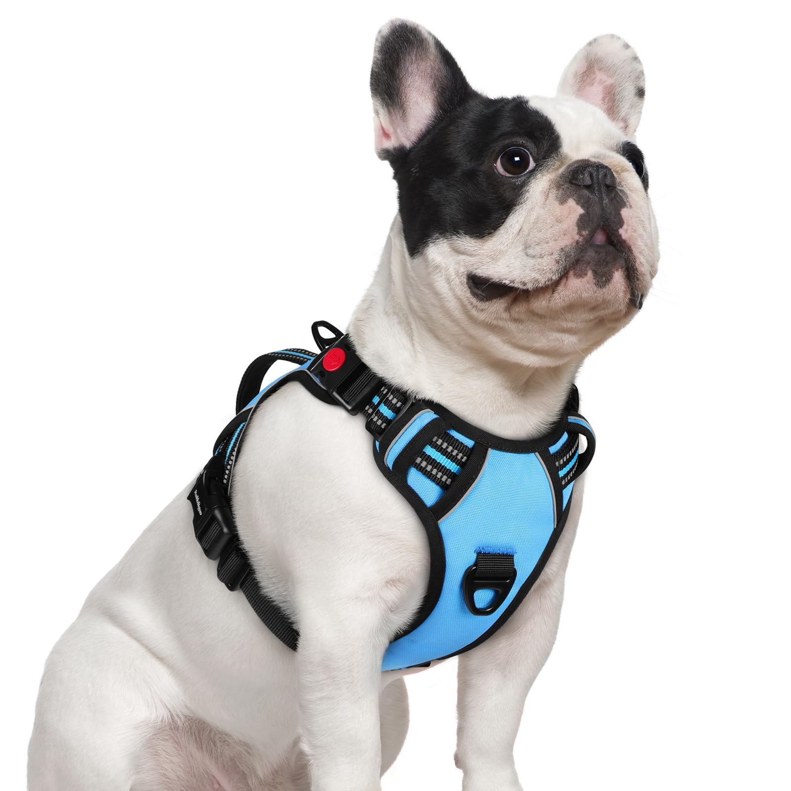 rabbitgoo Dog Harness Small Sized Dog, No Pull Pet Harness with Soft Padded Handle, Adjustable Reflective Vest with 3 Buckles, E