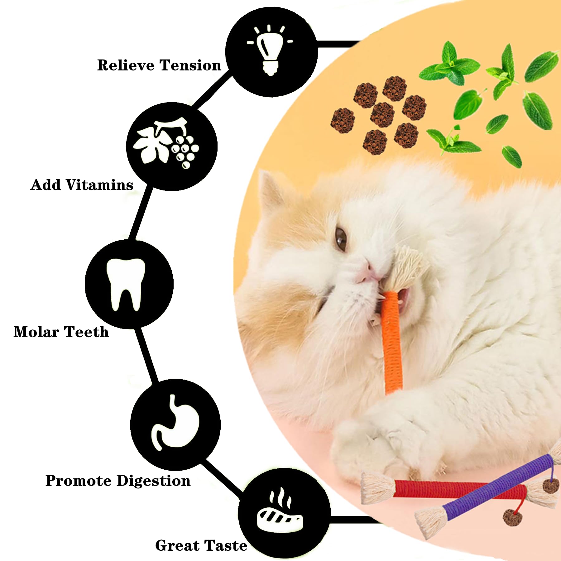GREMBEB Cat Toys 6Pcs Catnip Toys for Indoor Kitten Chew Silvervine for Molar Scratch Interactive Cotton Rope for Cleaning Teeth