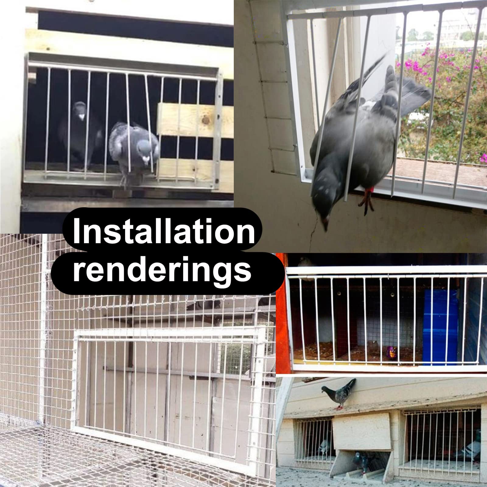 Pigeon Loft Door Pigeon Entrance Door Trap Door Pigeon House Door Racing Supplies Pet Bird Supply Product Bird Cage Door (50Cm/2