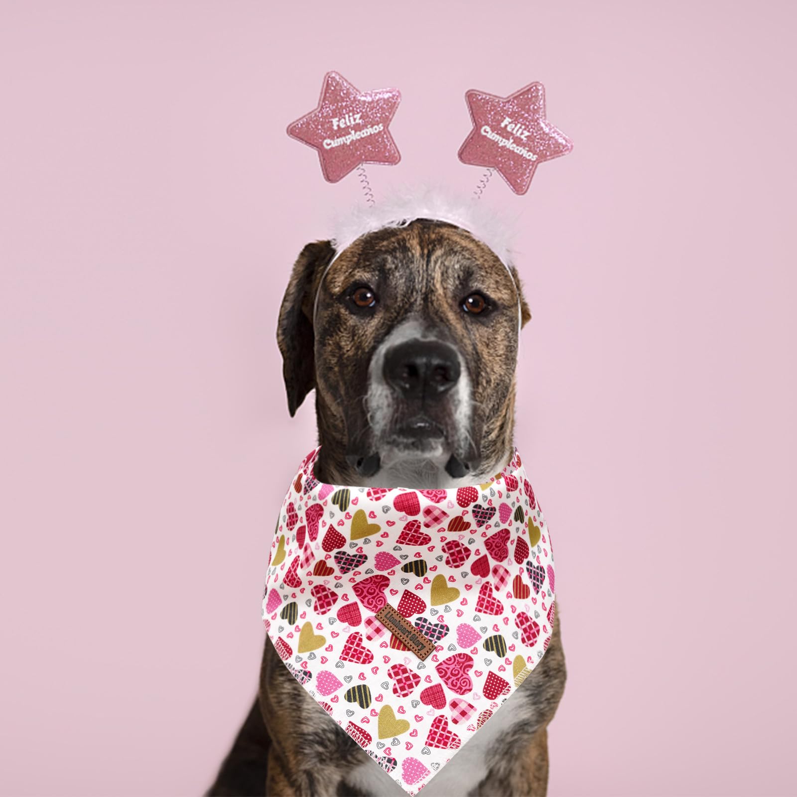 Lionheart Valentine Bandana 1 Pack Washable Soft Dog Scarf, Square Adjustable Dog & Cat Scarf