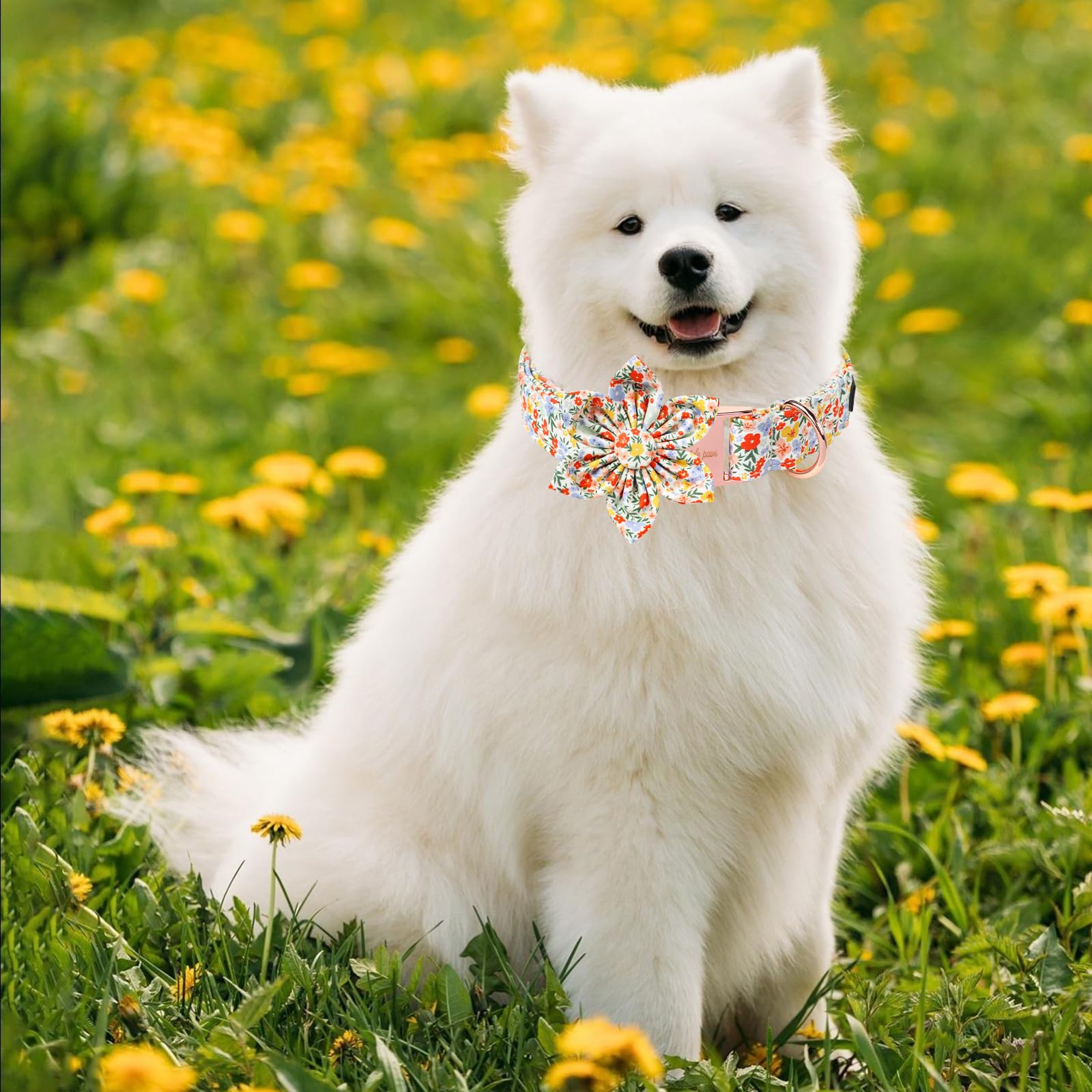 Unique Style Paws Summer Dog Collar With Floral Bow,Colorful Bow Tie Puppy Collar,Flower Pattern Dog Bow Collar For Small,Medium