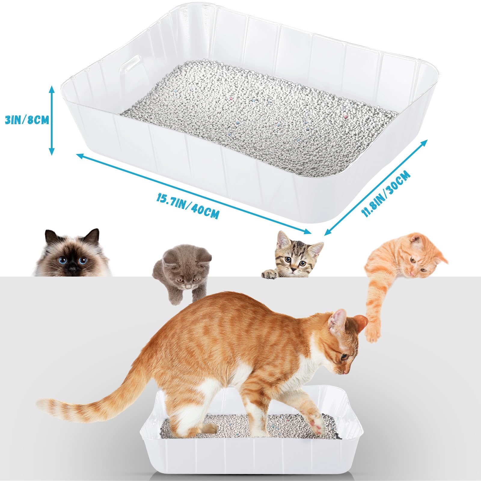 Bokon 50 Pieces Disposable Litter Boxes For Cats Small Kitty Litter Tray For Pets Plastic Litter Boxes For Indoor Cats Kitten Ha