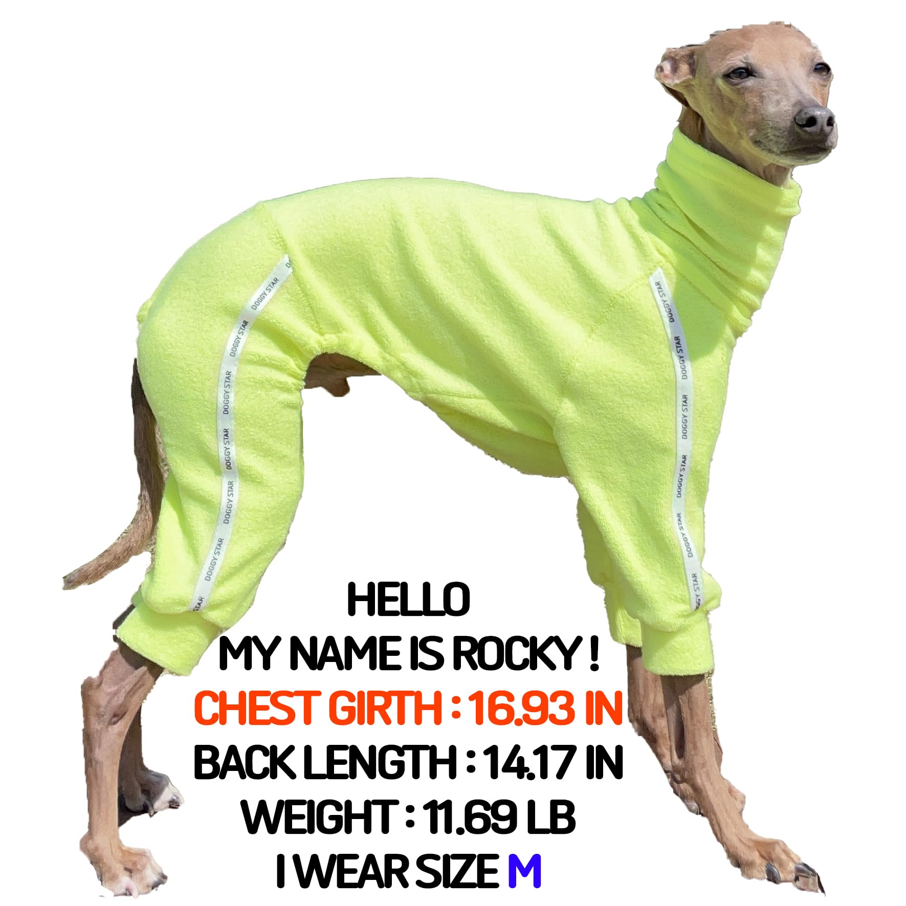 D Doggy Star Italian Greyhound Clothes Stretchy Towel Sports Onesie Outfit Whippet For Dog Coat (L,Twl Neonyellow)