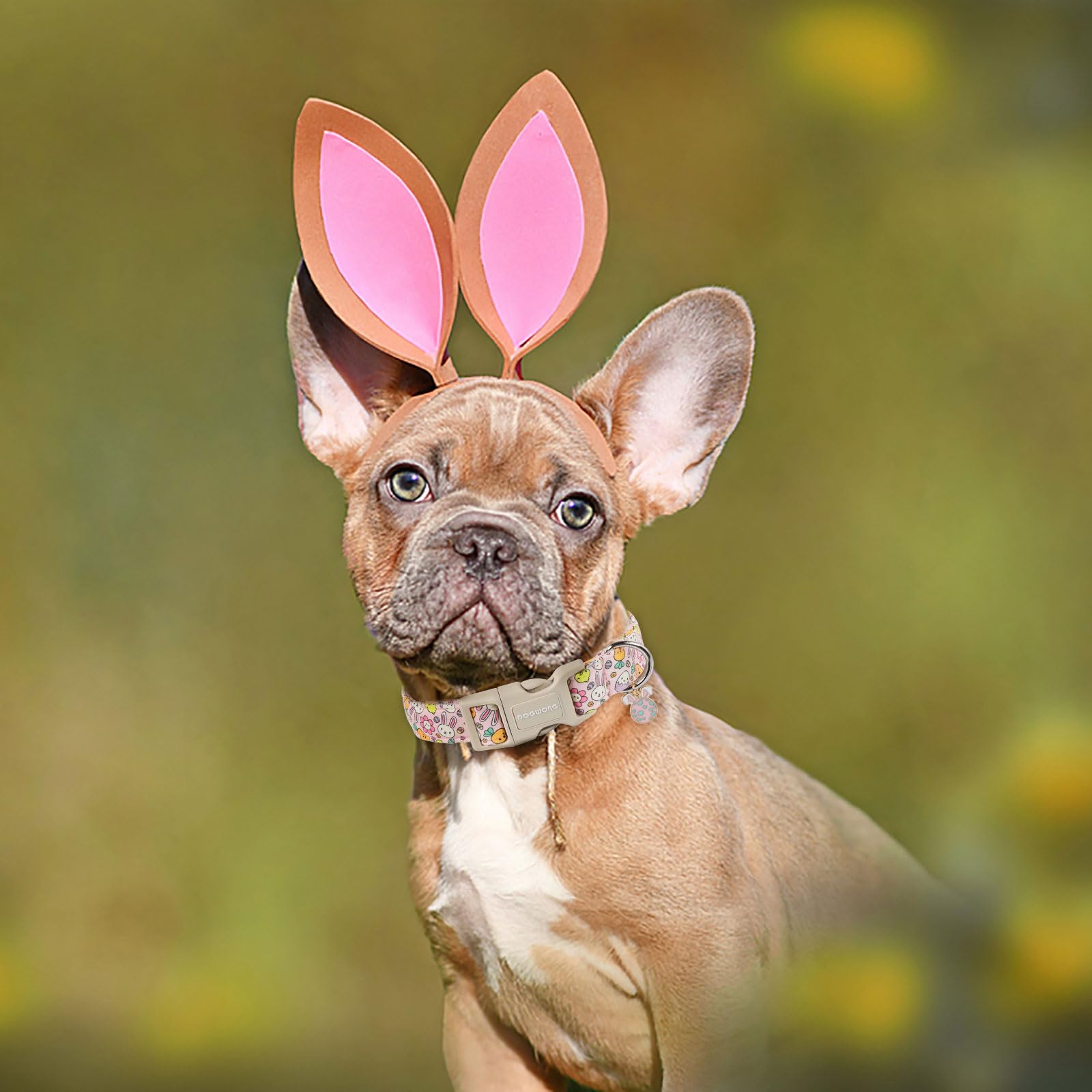 Dogwong Easter Dog Collar, Cute Egg Bunny Dog Collars, Adjustable Easter Pet Collars Design Dog Collar With Quick Release Buckle