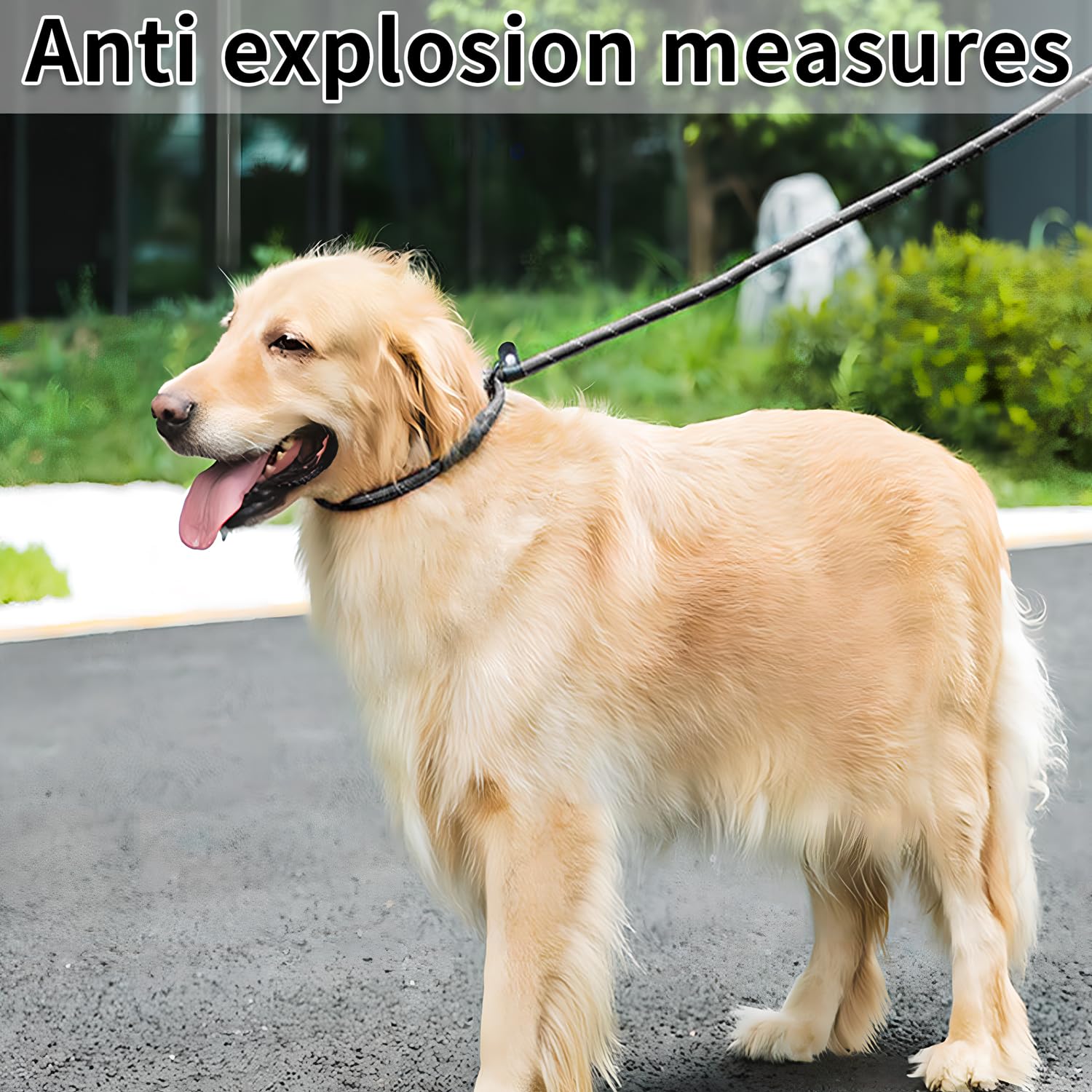 Slip Leads For Dogs,No Pull Dog Training Leash For Large,Medium Dogs,Heavy Duty Slip Leash,High Reflectivity At Night(Black)