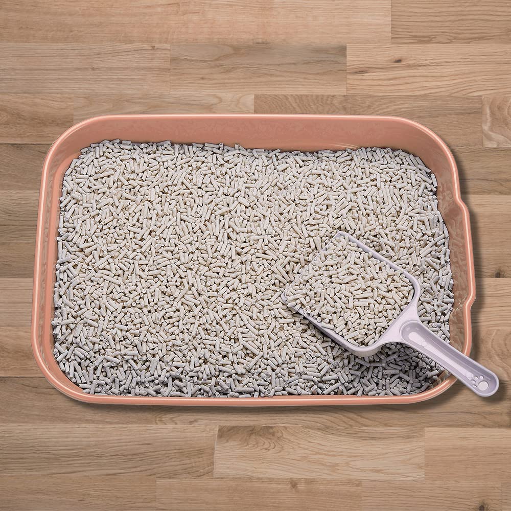 Kitty Litter Box Starter Kit - Small Cat Litter Pan Without Lid, Litter Mat, Scoop and Bowl for Kitten Within 3 Months (PinkScoo