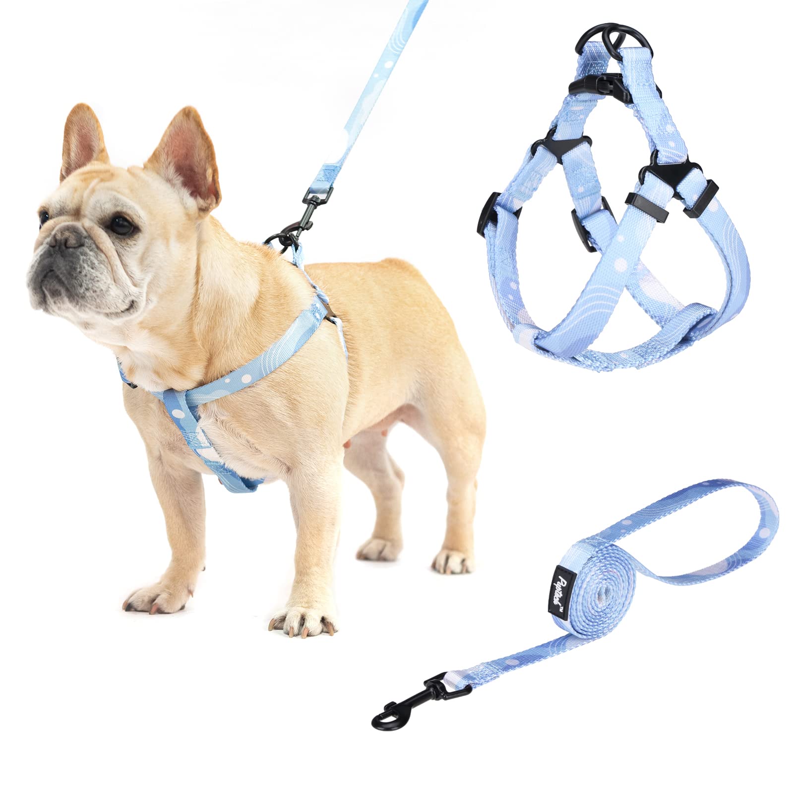 Pupteck Dog Harness And Leash Set No Pull Step In Soft Adjustable Pet Harnesses For Small Medium Dogs Outdoor Walking Training, Blue S