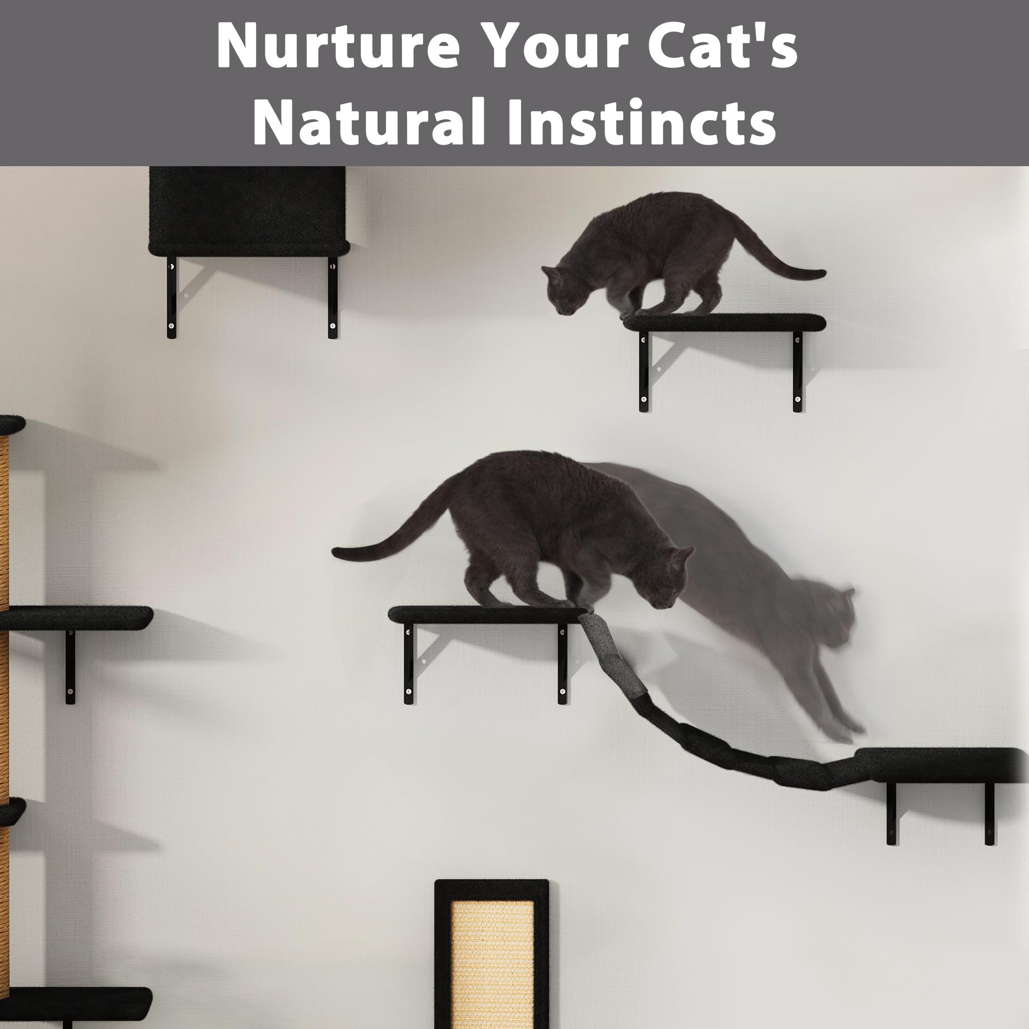 COZIWOW Cat Wall Shelves and Mounted Perches,Climber Set with 5pcs Including Cat Scratching Post, Hanging Bed, House, Steps, Tre