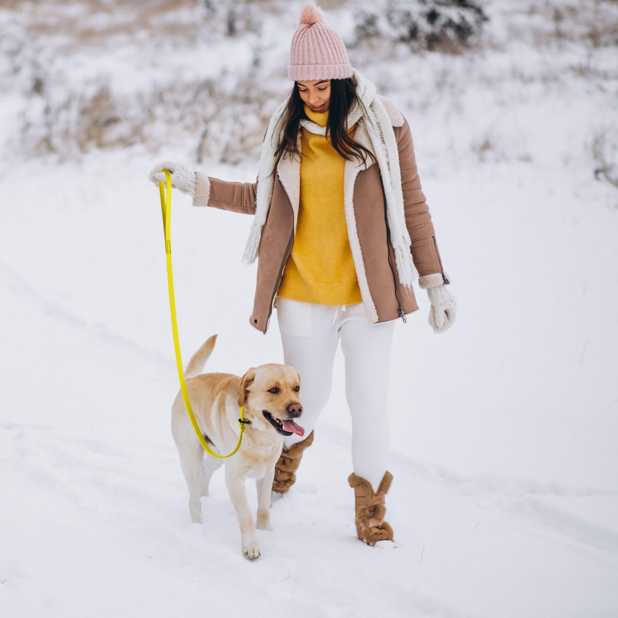 Dogline Biothane Slip Dog Leash - For Small, Medium And Large Dogs - Odor Free Slip Lead, Heavy Duty And Durable Material Kennel Lead - Lemon Yellow - 5Ft L X 5/8In W