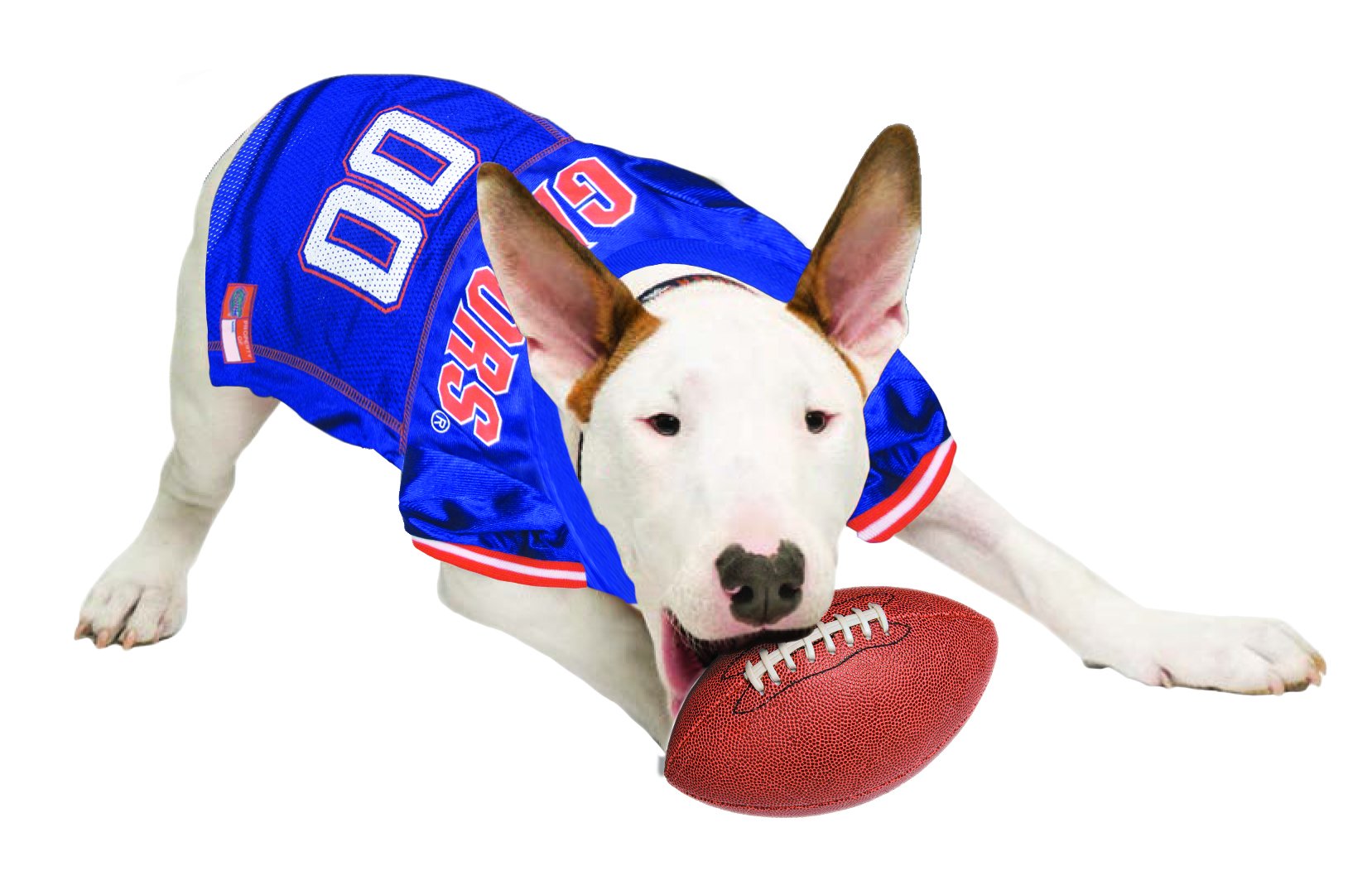 Pets First Mesh Jersey For Dogs & Cats, X-Small. Licensed Big Dog Jersey With Your Favorite Football/Basketball College Team