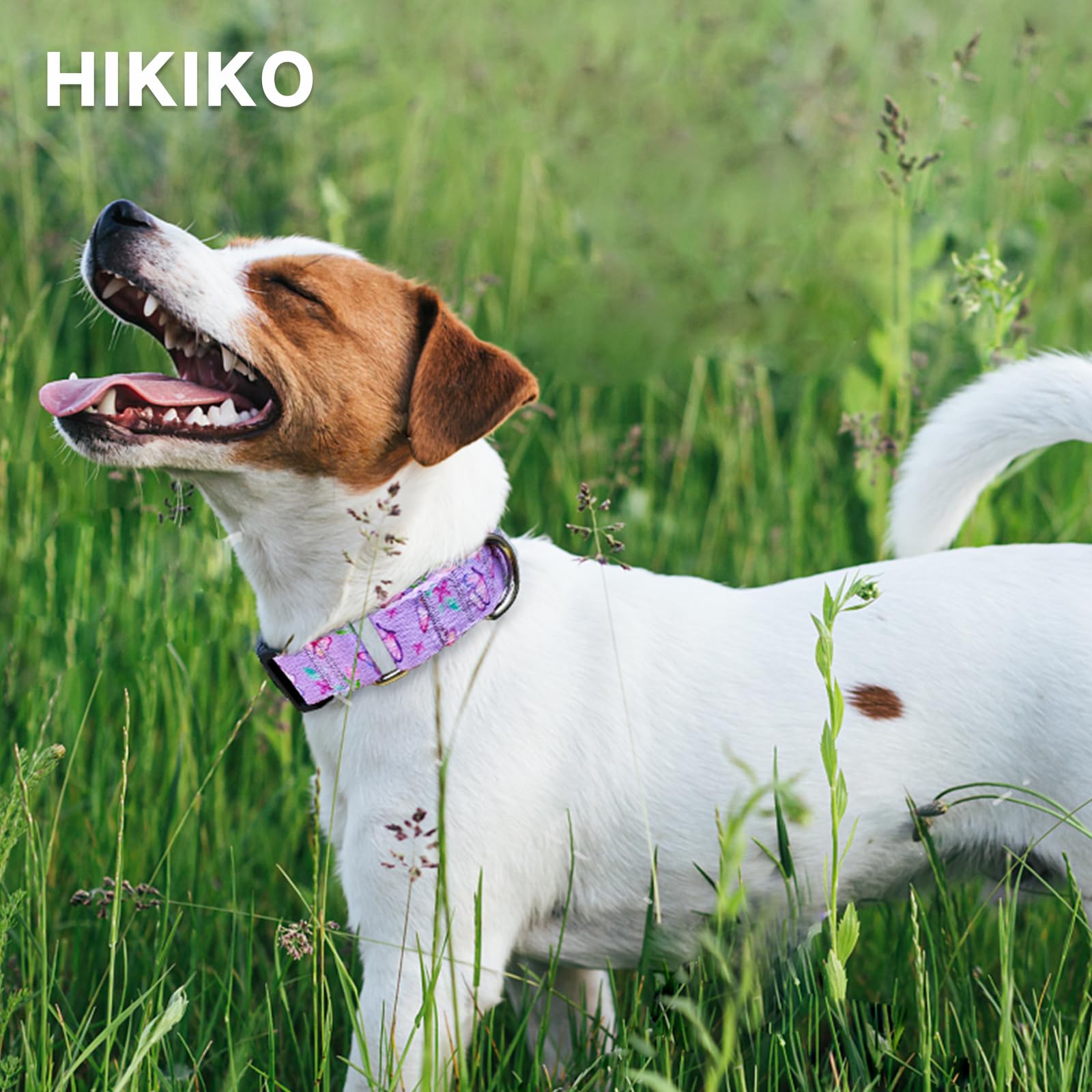 Hikiko Martingale Collar For Dogs Purple Butterfly Nylon Dog Collars With Buckle For Cute Girl Small Medium Large Dogs(Purple Bu