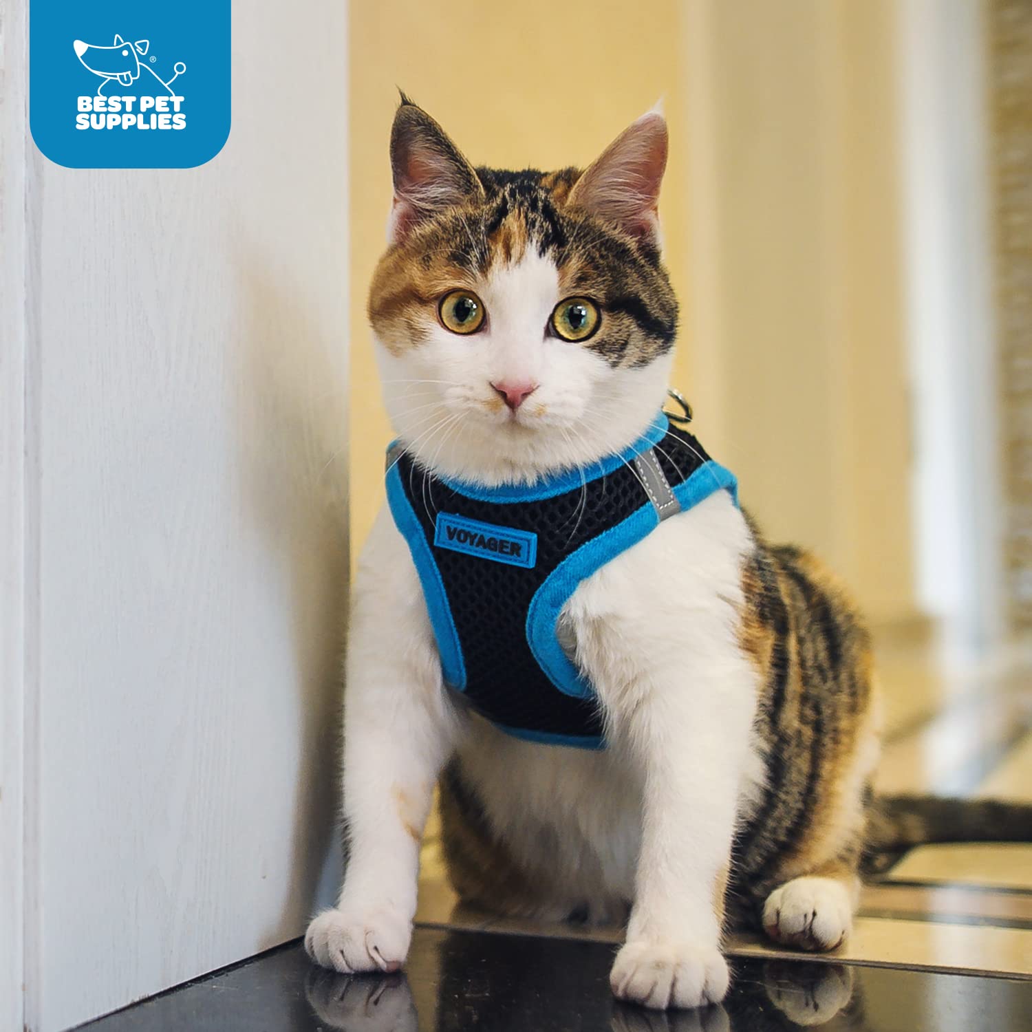 Voyager Step-In Air Dog Harness - All Weather Mesh Step In Vest Harness For Small And Medium Dogs By Best Pet Supplies - Orange Trim, Xs