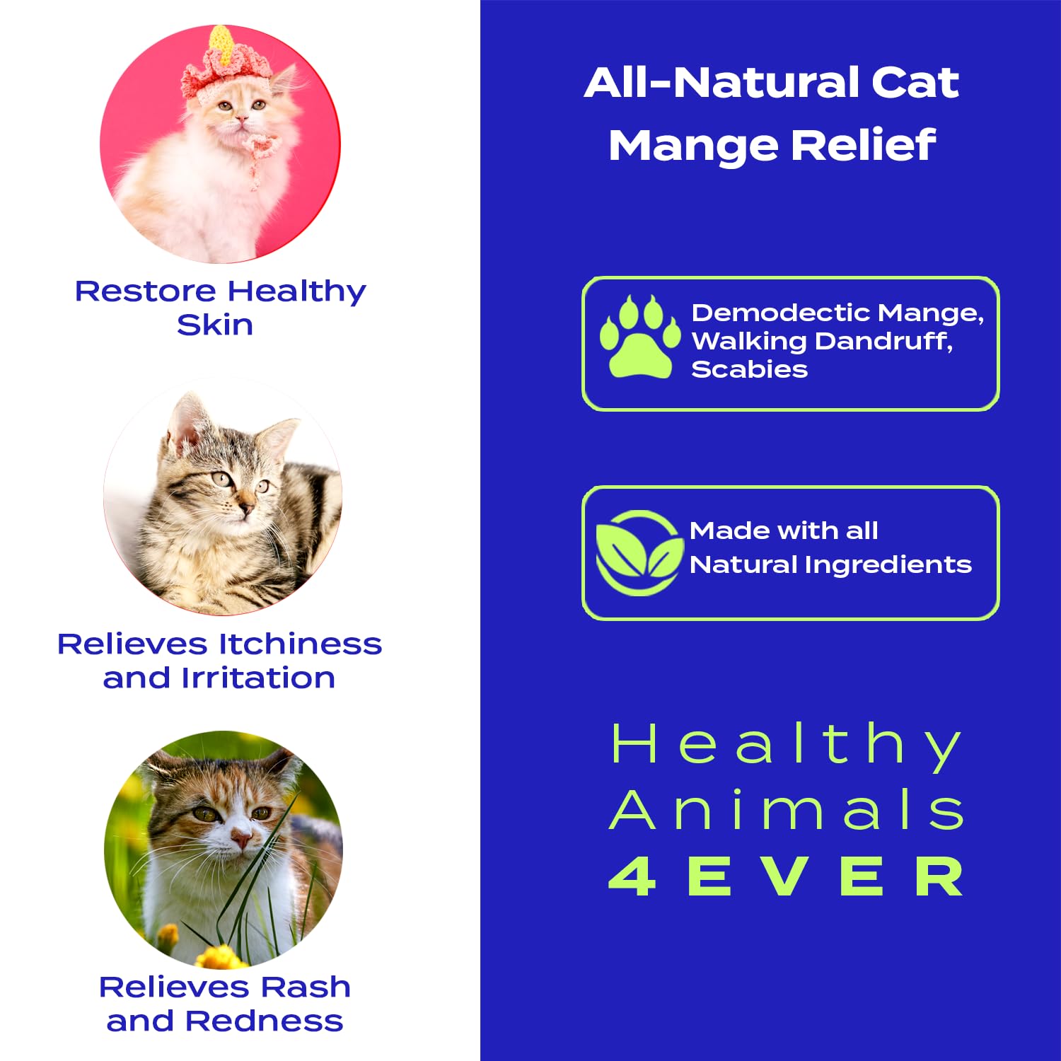 HealthyAnimals4Ever - Mange Relief for Cats | Treatment for Itchiness, Scabs & Hair Loss Caused by Mites - All-Natural, Homeopat
