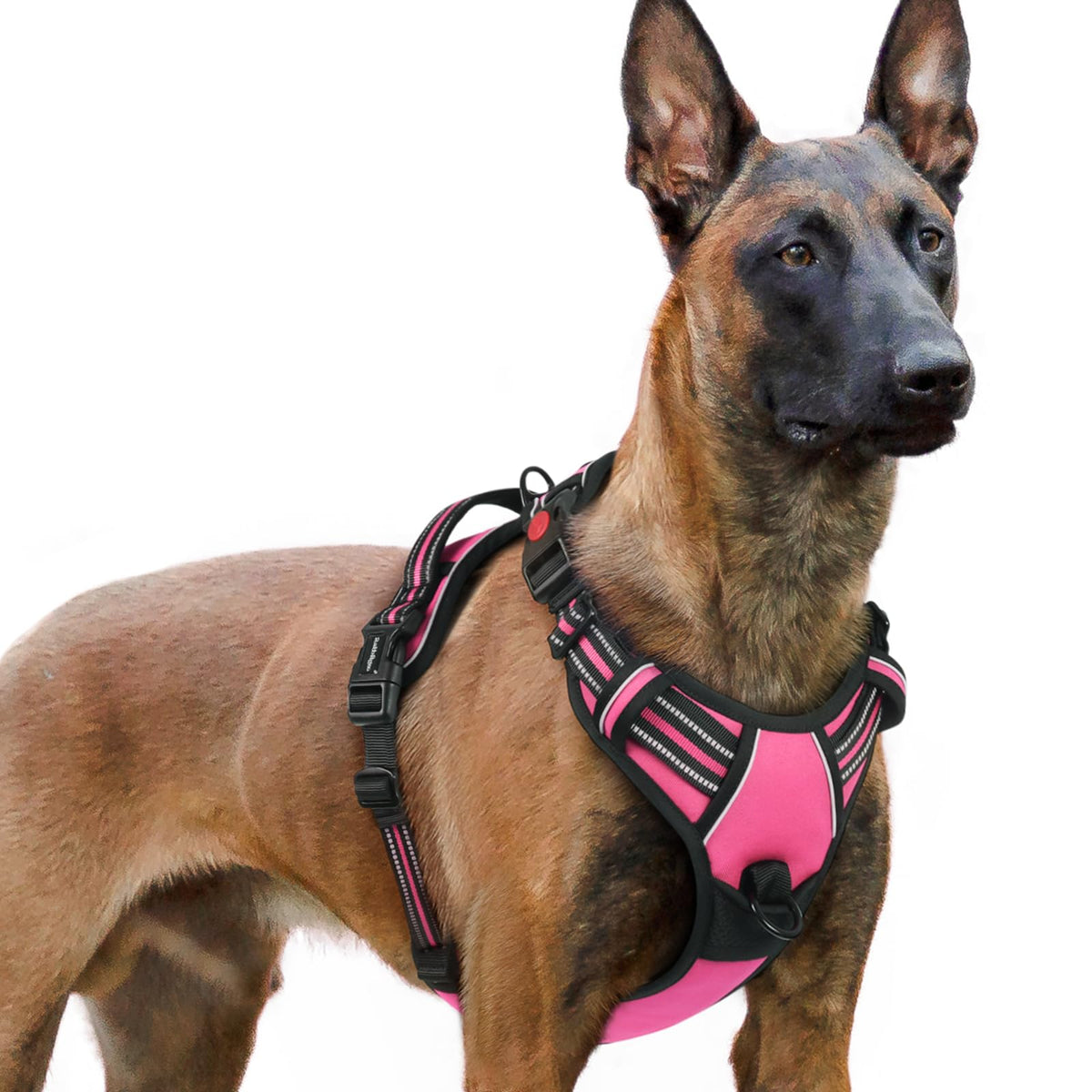 Rabbitgoo Dog Harness For Large, No Pull Pet Harness With 3 Buckles, Adjustable Soft Padded Pooch Vest With Instant Control Handle, Easy Walking Reflective Pet Vest For Extra Large Dogs,Rose Pink, Xl