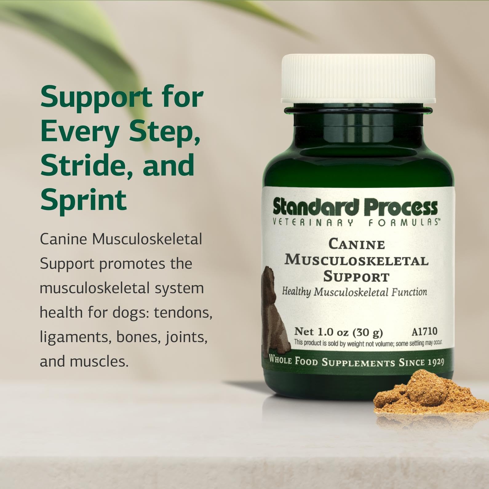 Standard Process Canine Musculoskeletal Support Supplement - Bone & Joint Health for Dogs - 30 g
