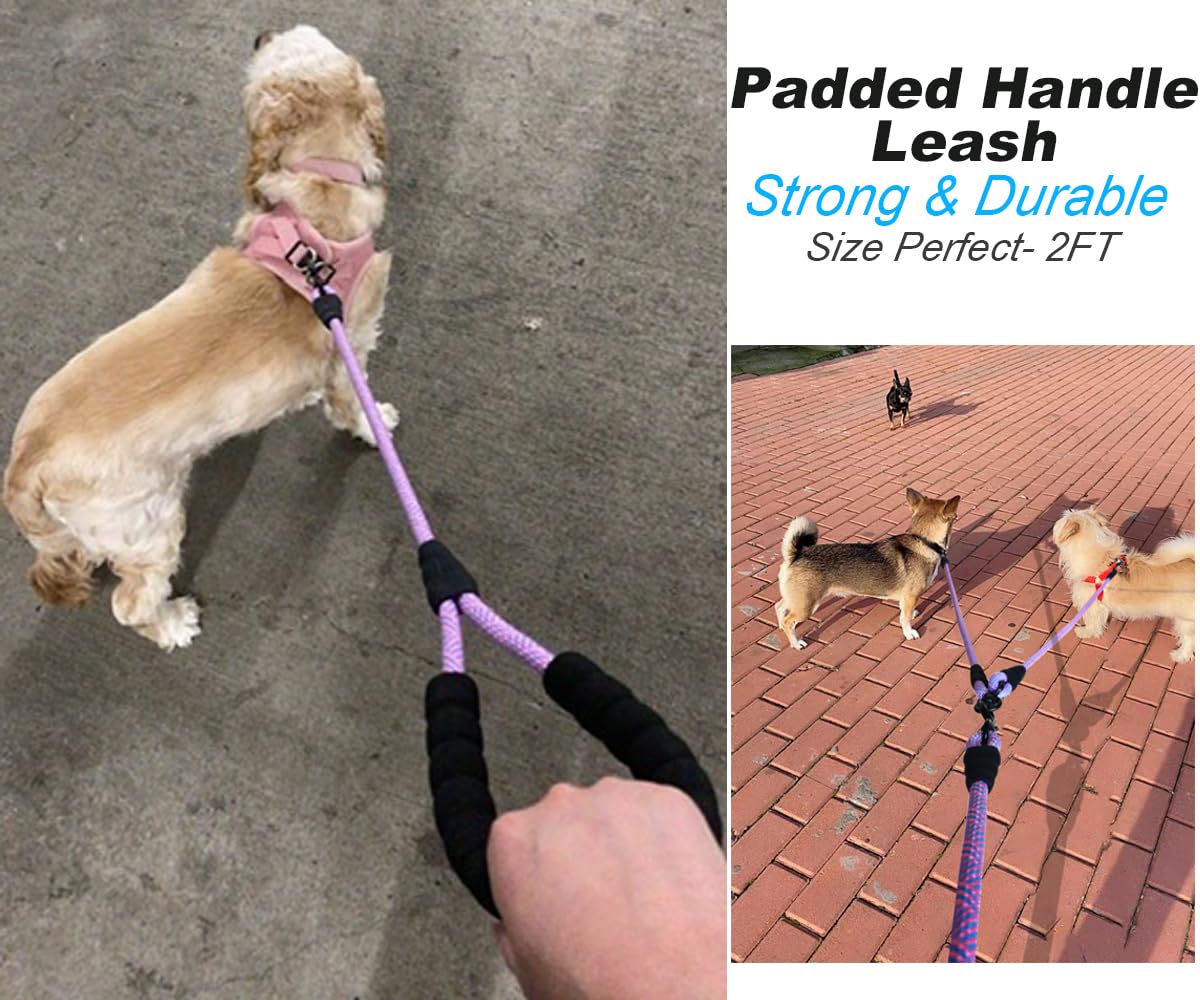 Mycicy 2Ft Rope Dog Leash, 2 Pack Strong Nylon Short Dog Leash With Comfortable Padded Handle, Easy Control And Walking Traffic Leash For Large And Medium Dogs (Black+Purple)