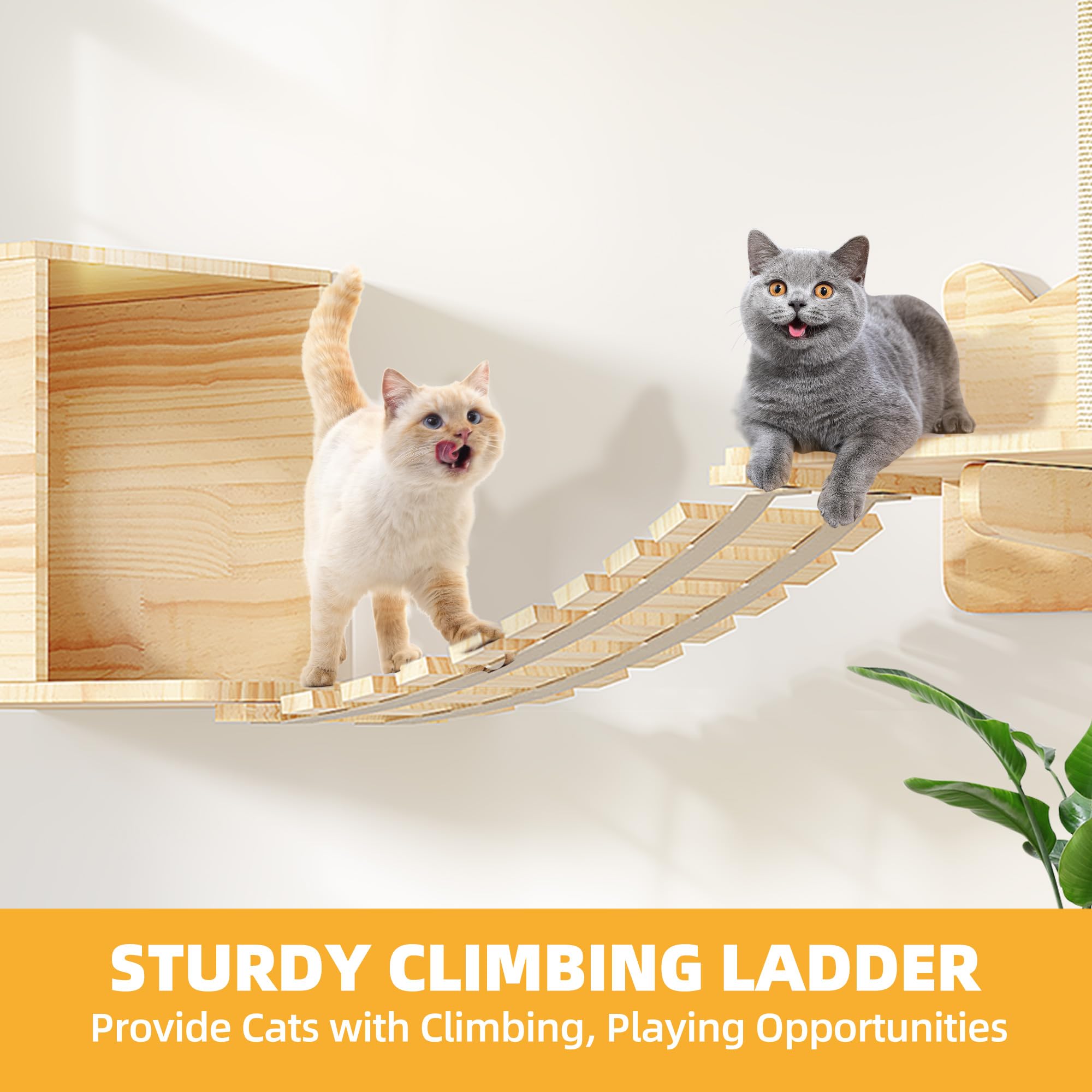 Homiflex Cat Wall Shelves, Wood Cat Wall Furniture(5 Piece Set), Solid Wooden Feline Shelf, with House, Steps, Bridge Ladder and
