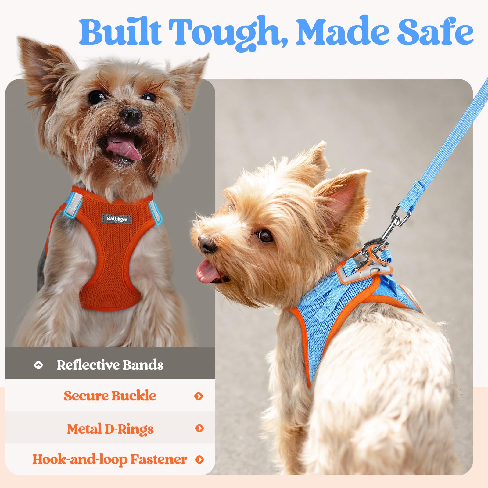 rabbitgoo Dog Harness Small Sized and Leash Set, Step in Soft Light Puppy Vest, Breathable Mesh Pet Harness, Reflective for Safe