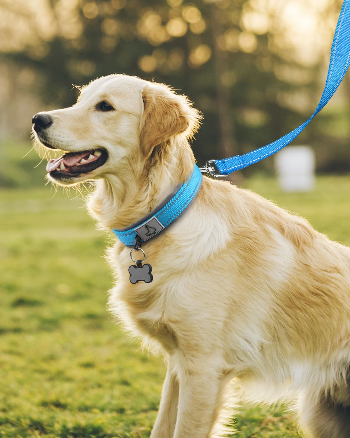 Joytale Dog Collar For Large Dogs, Neoprene Padded And Adjustable, Reflective Wide Heavy Duty Pet Collars With Durable Metal Bel