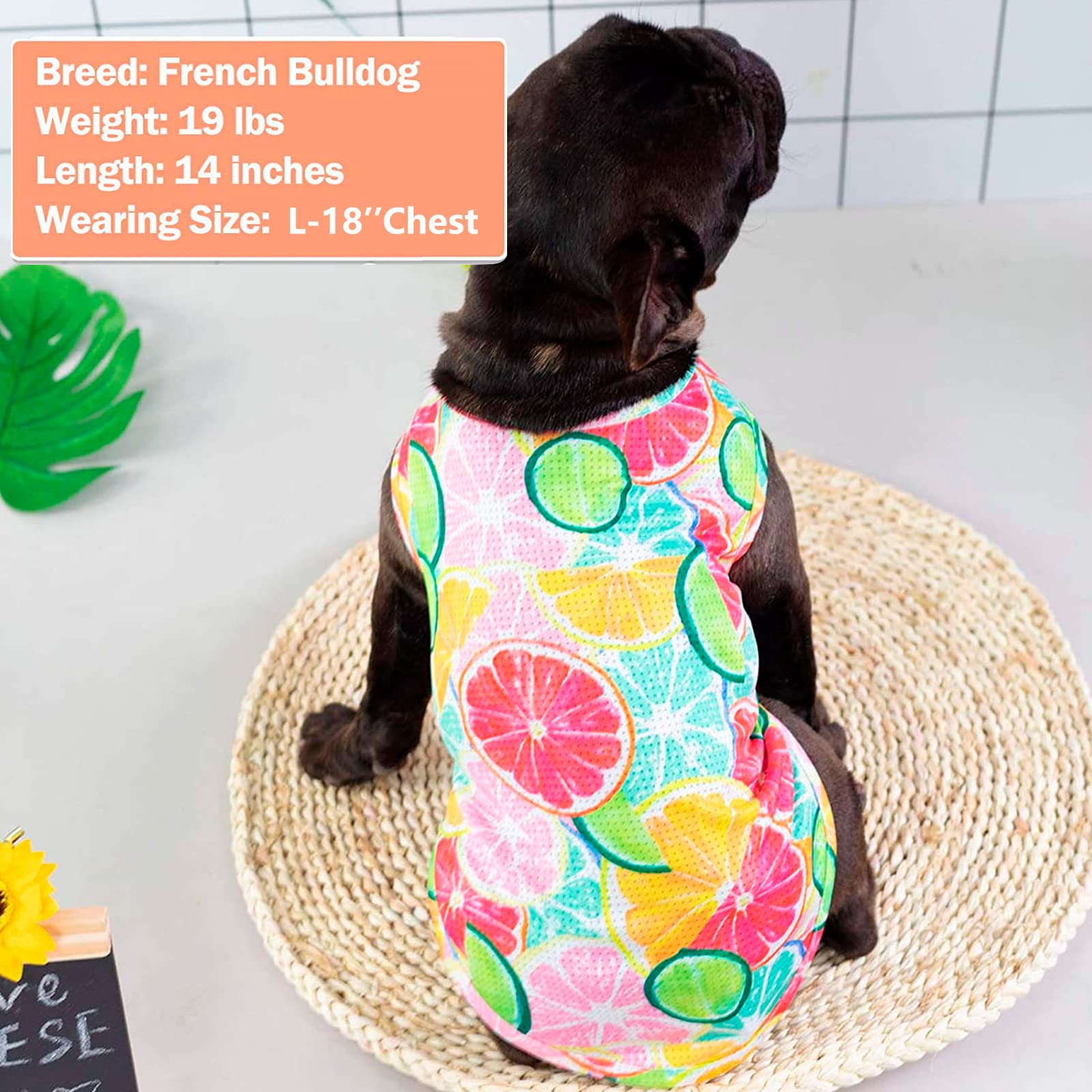 Kyeese 2 Pack Dog Shirts Quick Dry Lightweight Dog T-Shirts With Reflective Label Tank Top Sleeveless Vest Cat Shirts For Summer Lemon Pattern