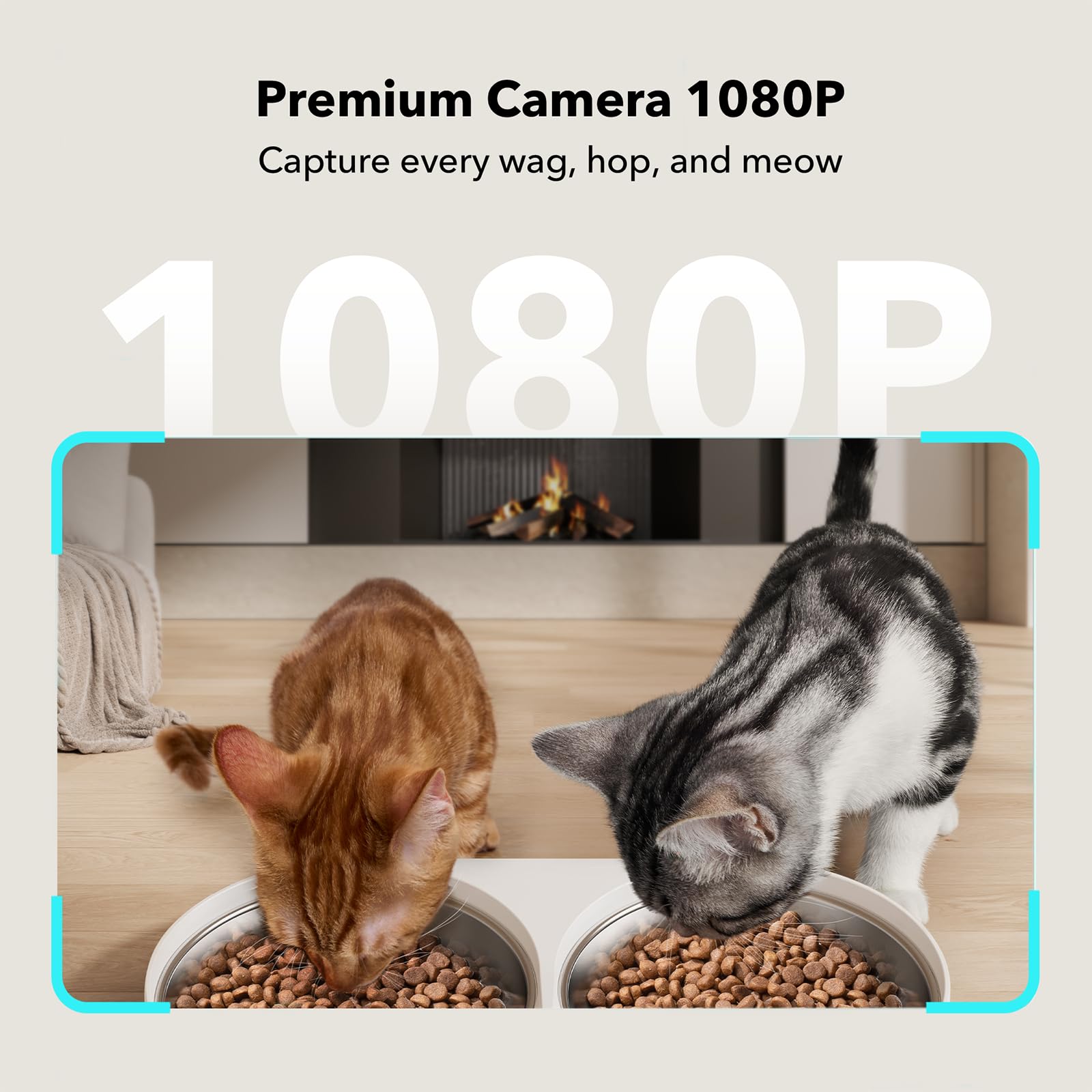 PETLIBRO Automatic Cat Feeder with Camera for Two Cats, 1080P HD Video with Night Vision, 5G WiFi Pet Feeder with Phone APP Cont