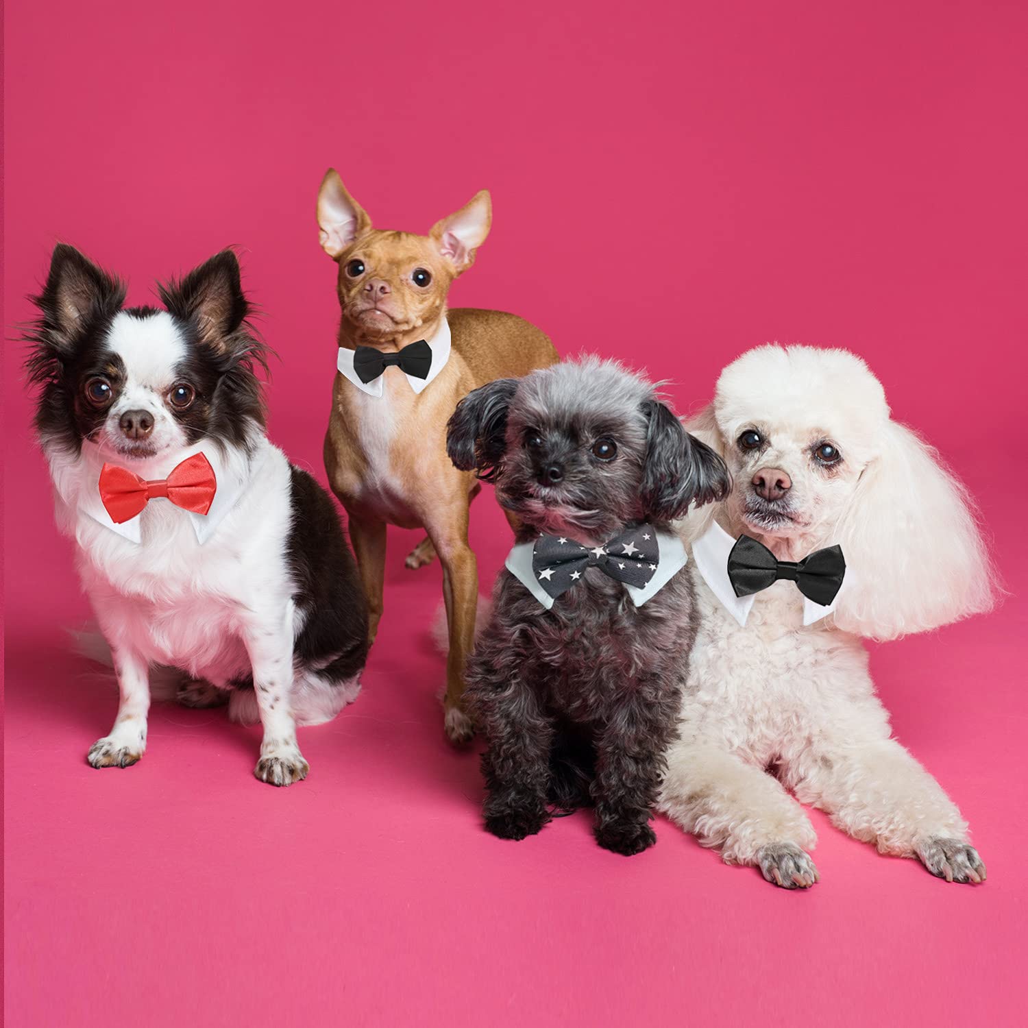 Koolmox Extra Large Dog Tuxedo Collar & Bow Tie Set, Adjustable 22.8'' Black Tux for Cats & Dogs, Wedding Attire & Grooming Costumes