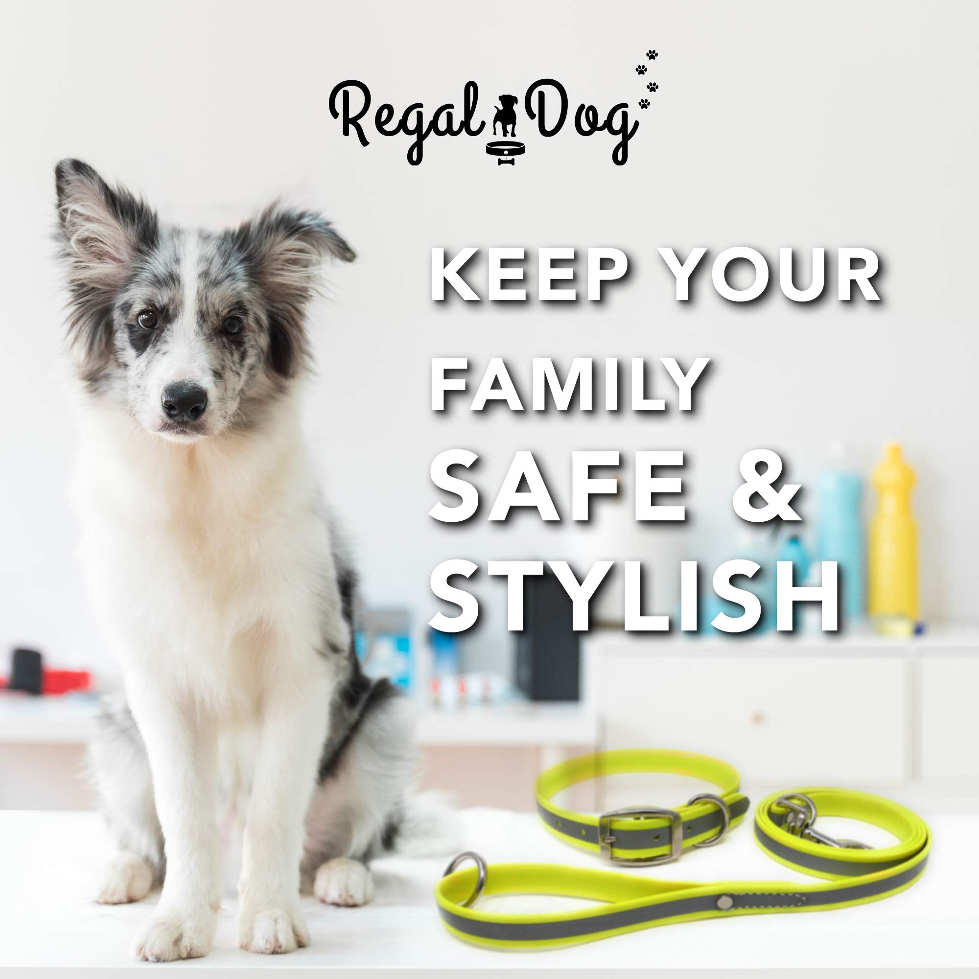 Regal Dog Products Small Yellow Reflective Dog Collar And Leash Set - Waterproof Biothane Dog Collar With Heavy Duty Double Buck