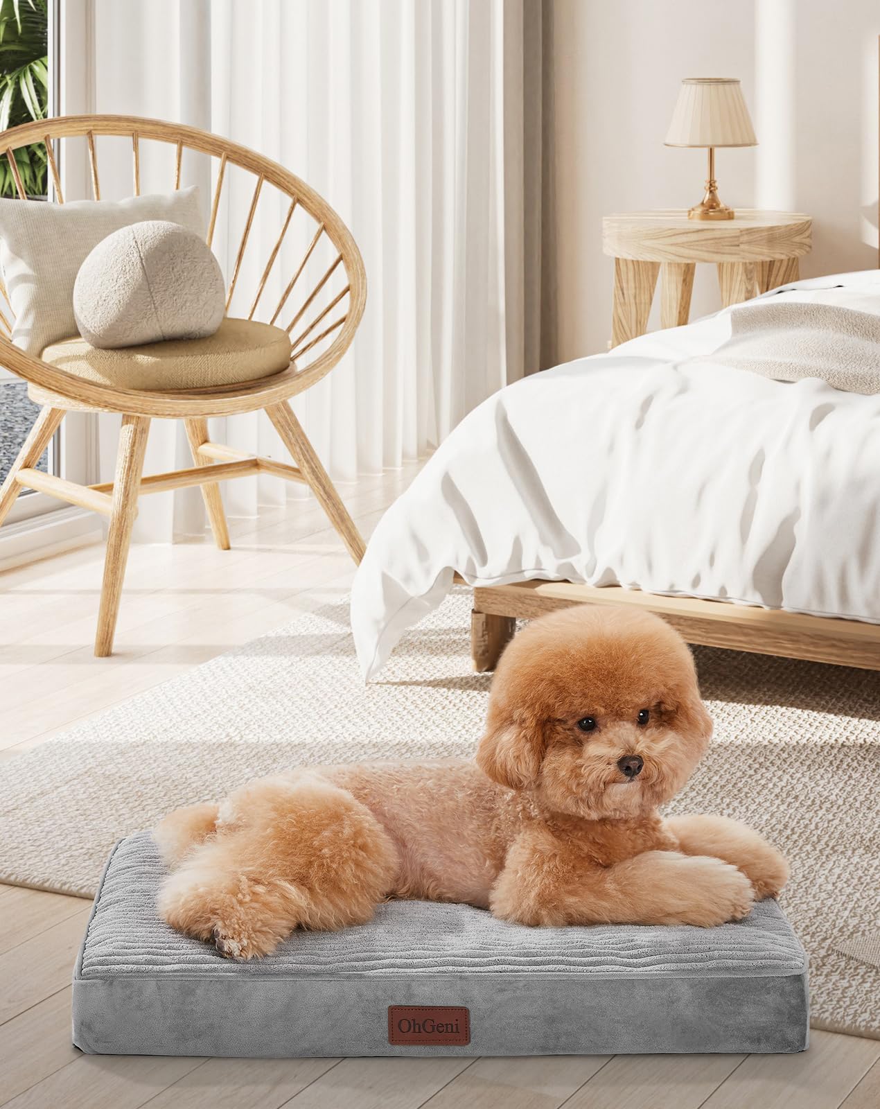 Ohgeni Orthopedic Waterproof & Machine Washable Dog Bed For Small Pets, Suitable For Crates, 25D Egg Crate Foam, Non-Slip Bottom