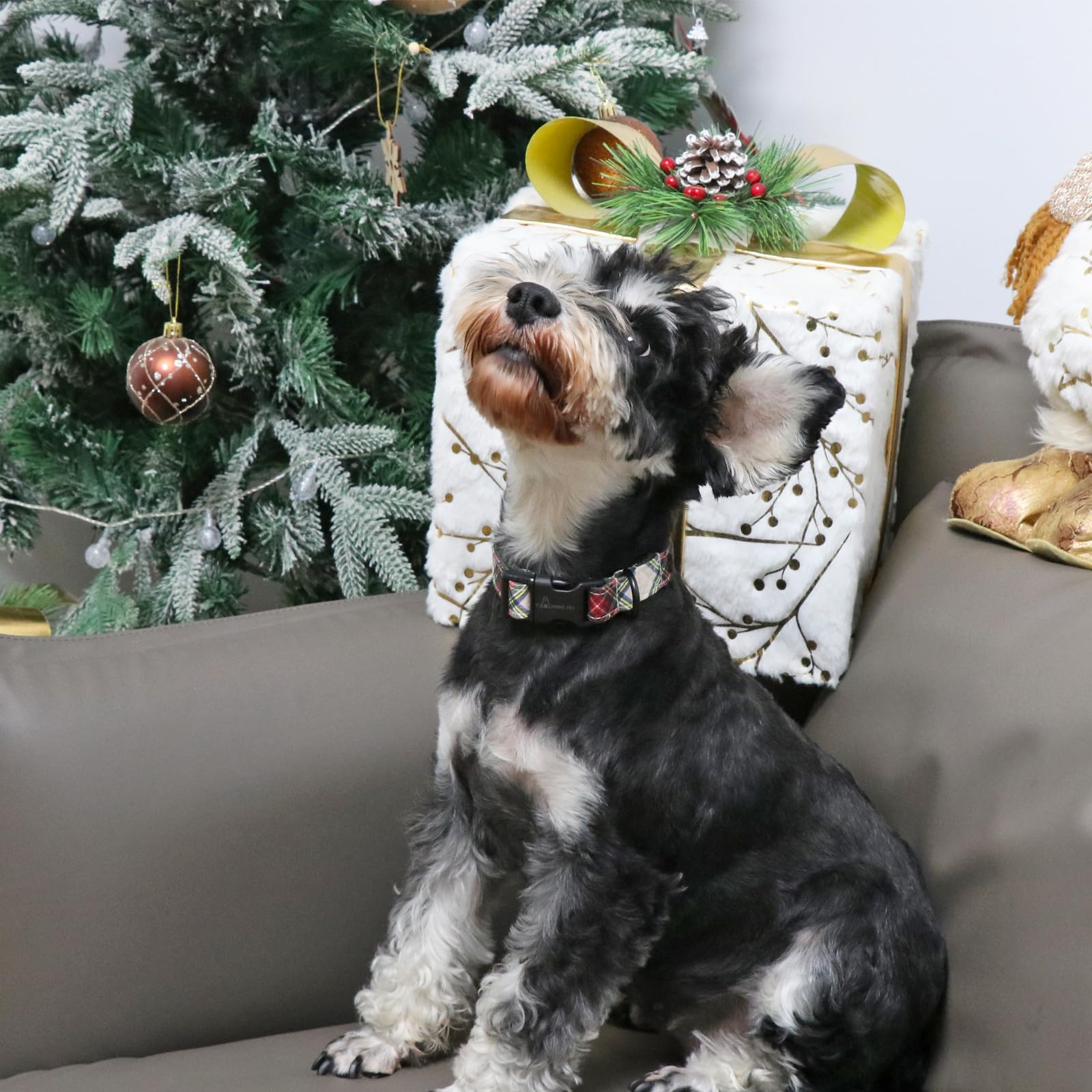 Aring Pet Christmas Dog Collar Cute Plaid Dog Collar, Cotton Lightweight Christmas Small Dog Collars Puppy Collar For Small Medi