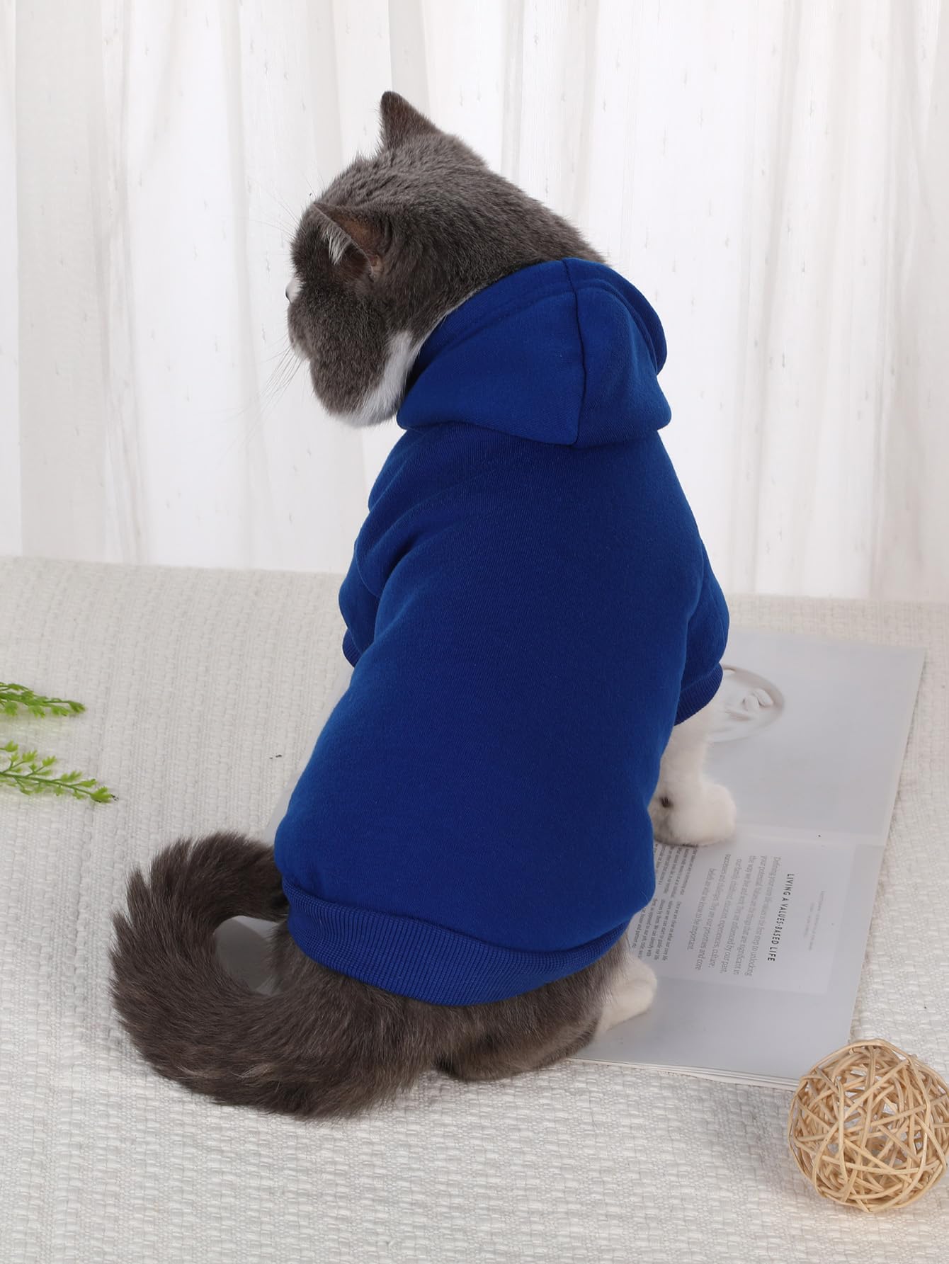 QWEEE Basic Dog & Cat Hoodie, Warm Jacket & Shirt for Puppy to Medium Sizes, Royal Blue XS