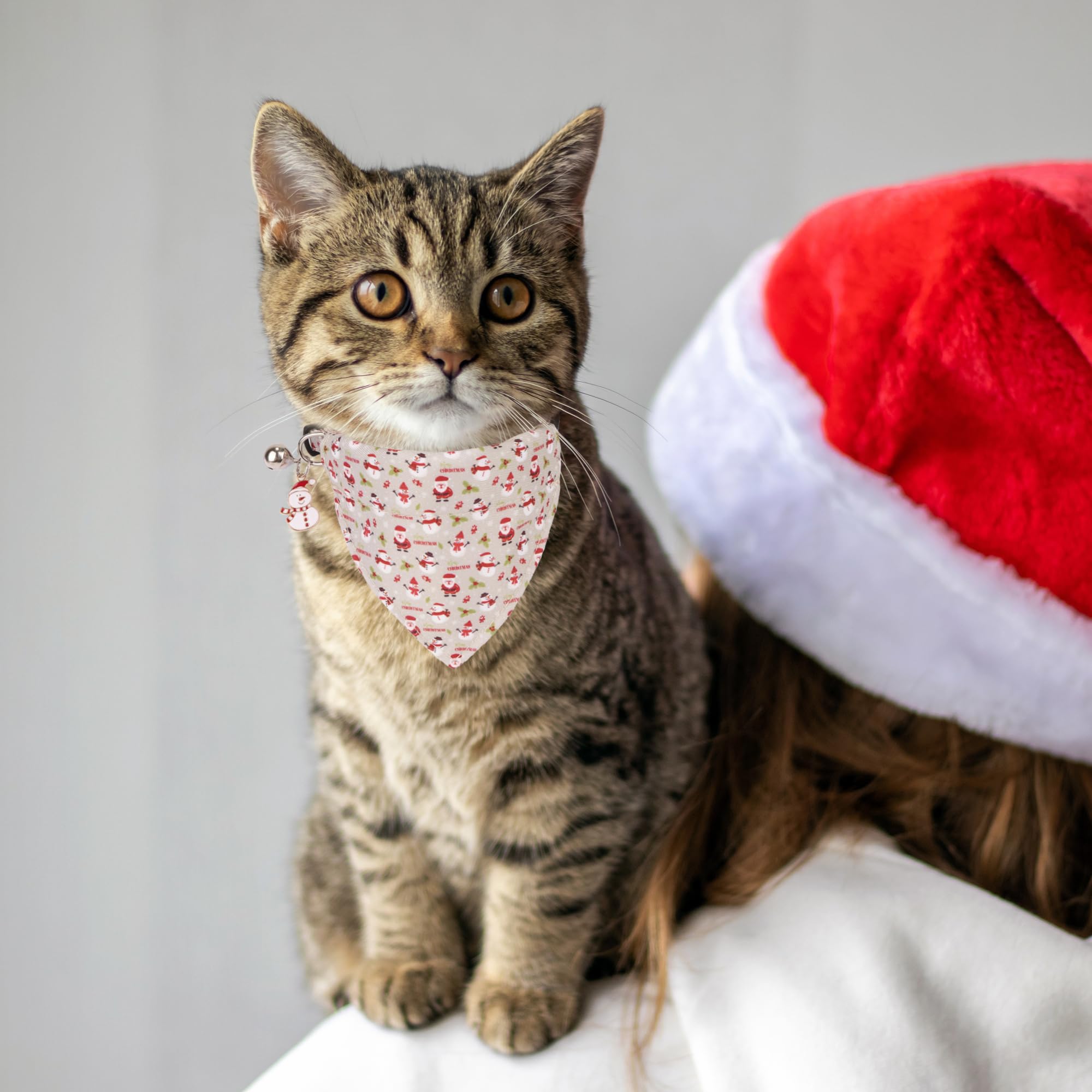 Adoggygo Christmas Cat Collar With Bandana, 2 Pack Hoho Santa Snowman Pattern Christmas Bandana Collars For Cat Kitten