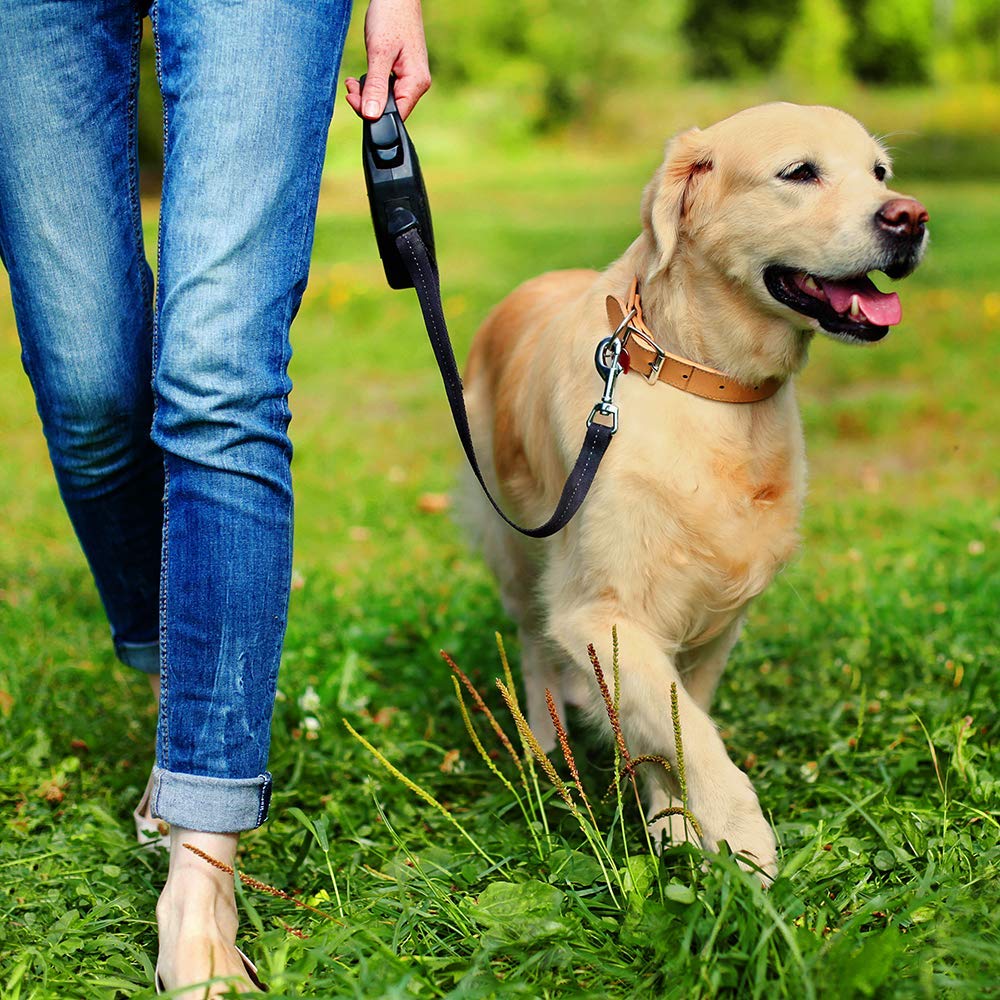 Simple Solution Pee Post Outdoor Potty Training Aid - Pheromone-Infused Yard Stake With Go Here™ Technology - 13 Inch Stake