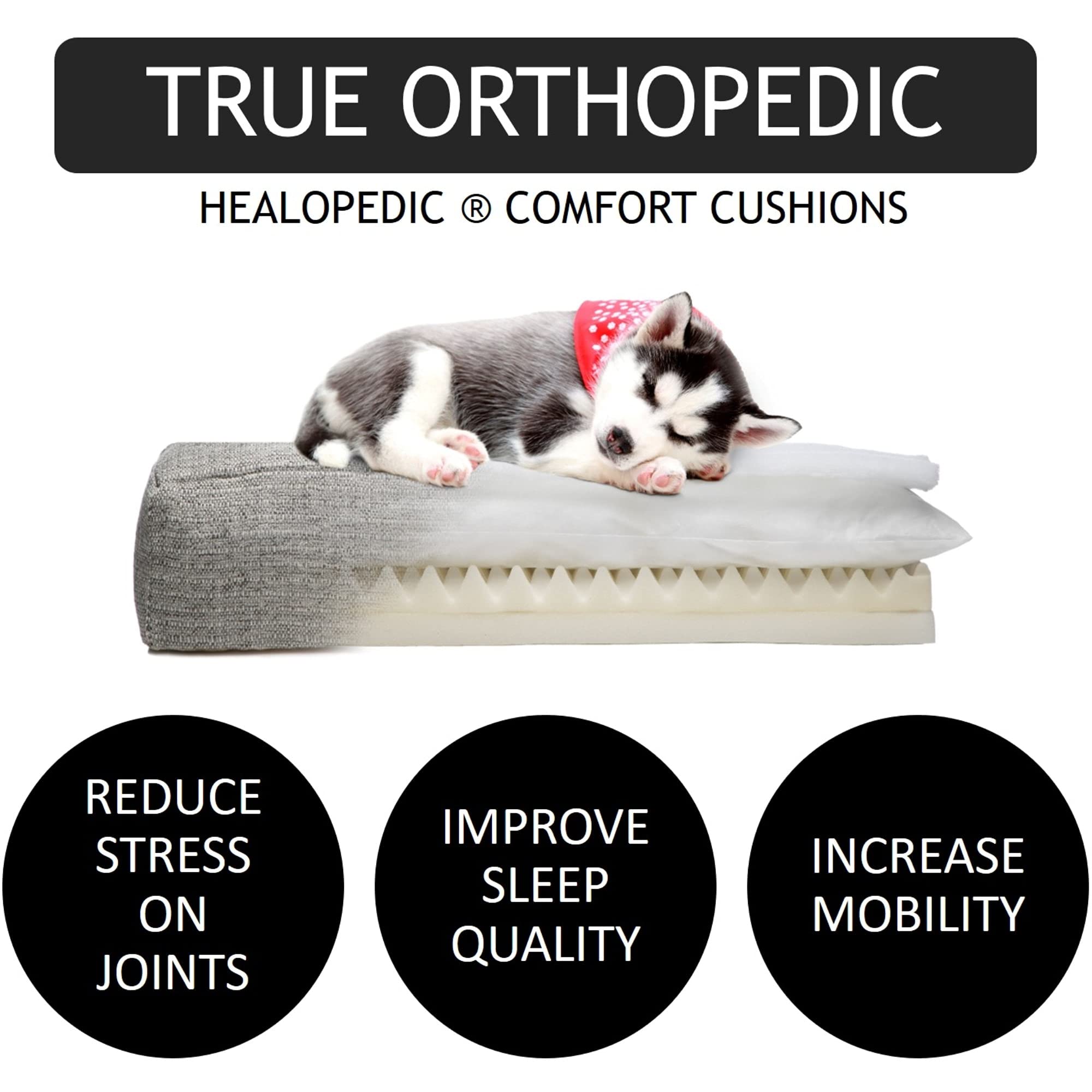 Club Nine Pets Unisex Metro Orthopedic Dog Bed - Medium Metal Gray Md One Size