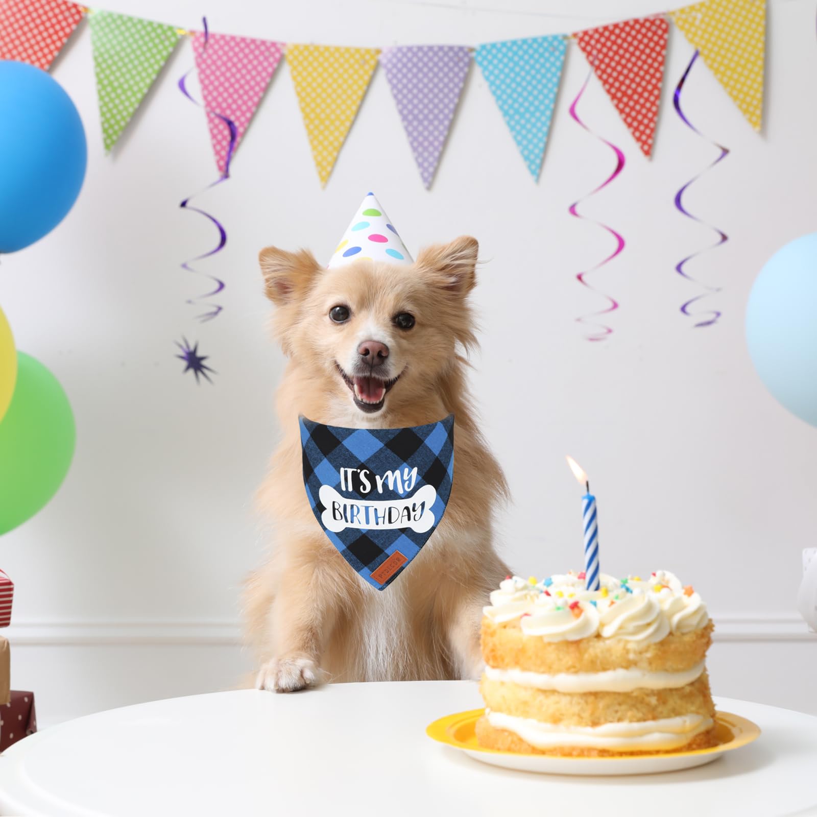 PTDECOR Dog Birthday Party Supplies, Its My Birthday Scarf Blue Plaid Boy Pet Bandana for Small Dogs (Blue, Small)