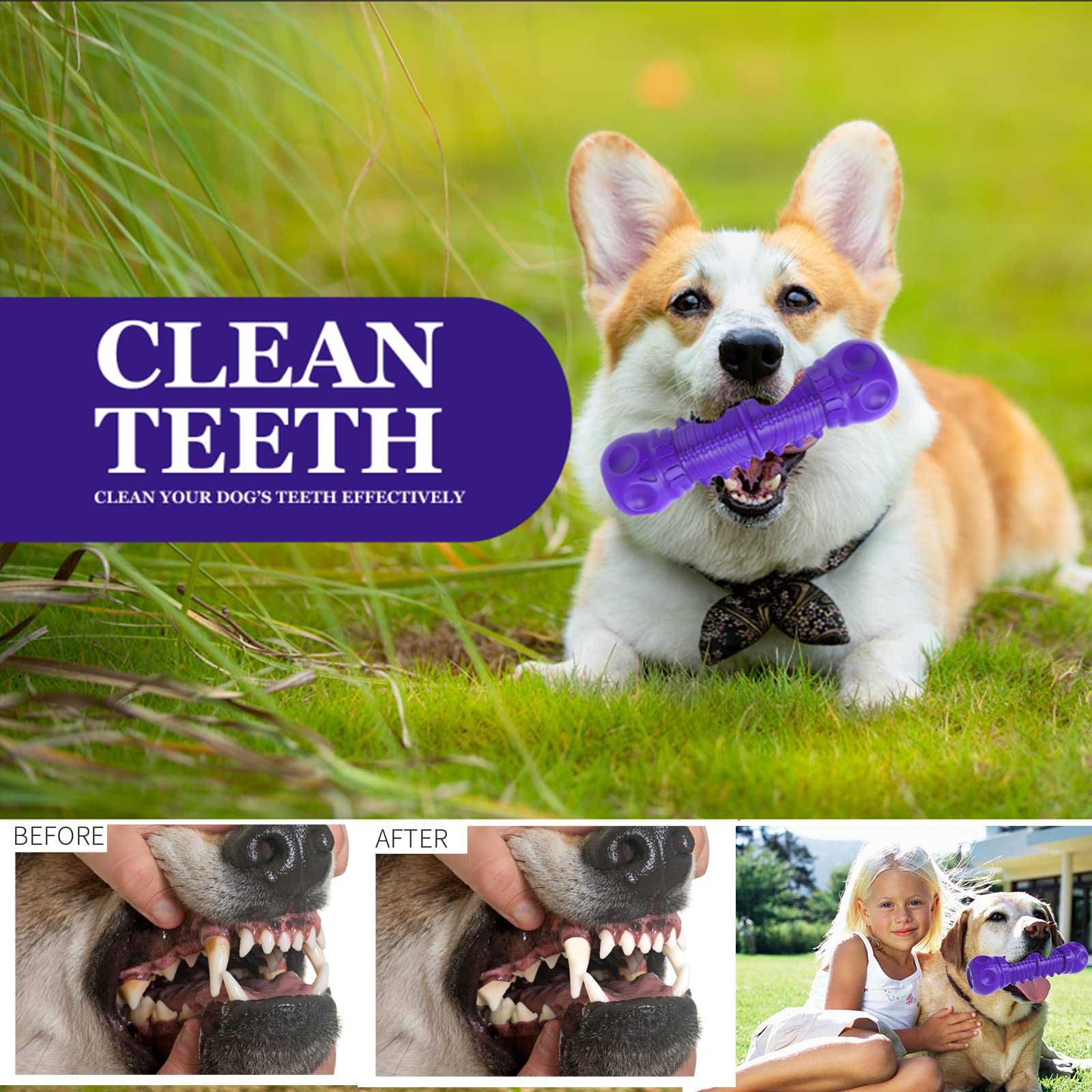 Zikaton Dog Squeaky Toys For Aggressive Chewers, Durable Chew Toys For Large Medium Breed Dog, Tough Durable Dogs Toys With Natu