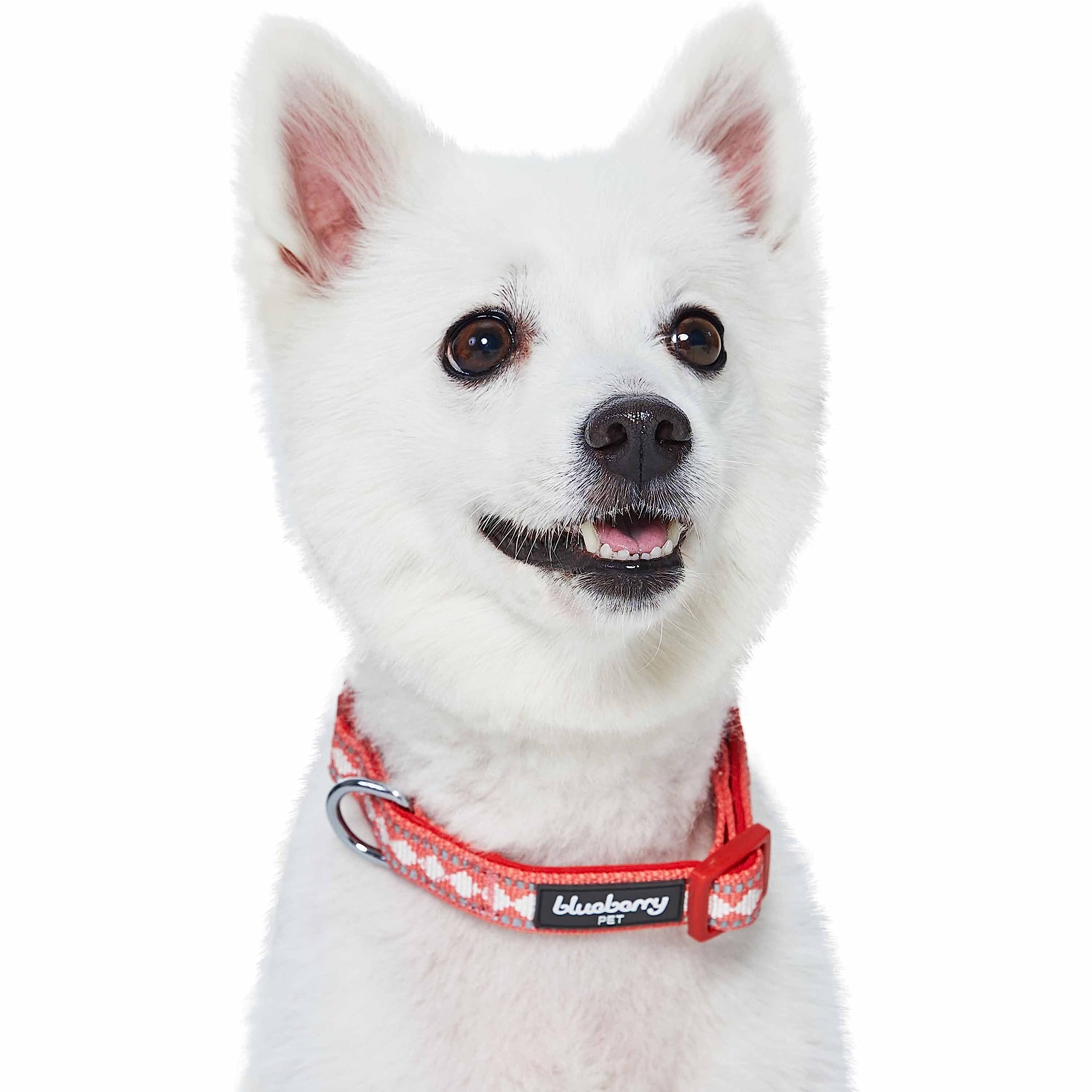 Blueberry Pet 3 Colors 3M Reflective Jacquard Neoprene Padded Adjustable Dog Collar, Coral, Small, Neck 12''-16''