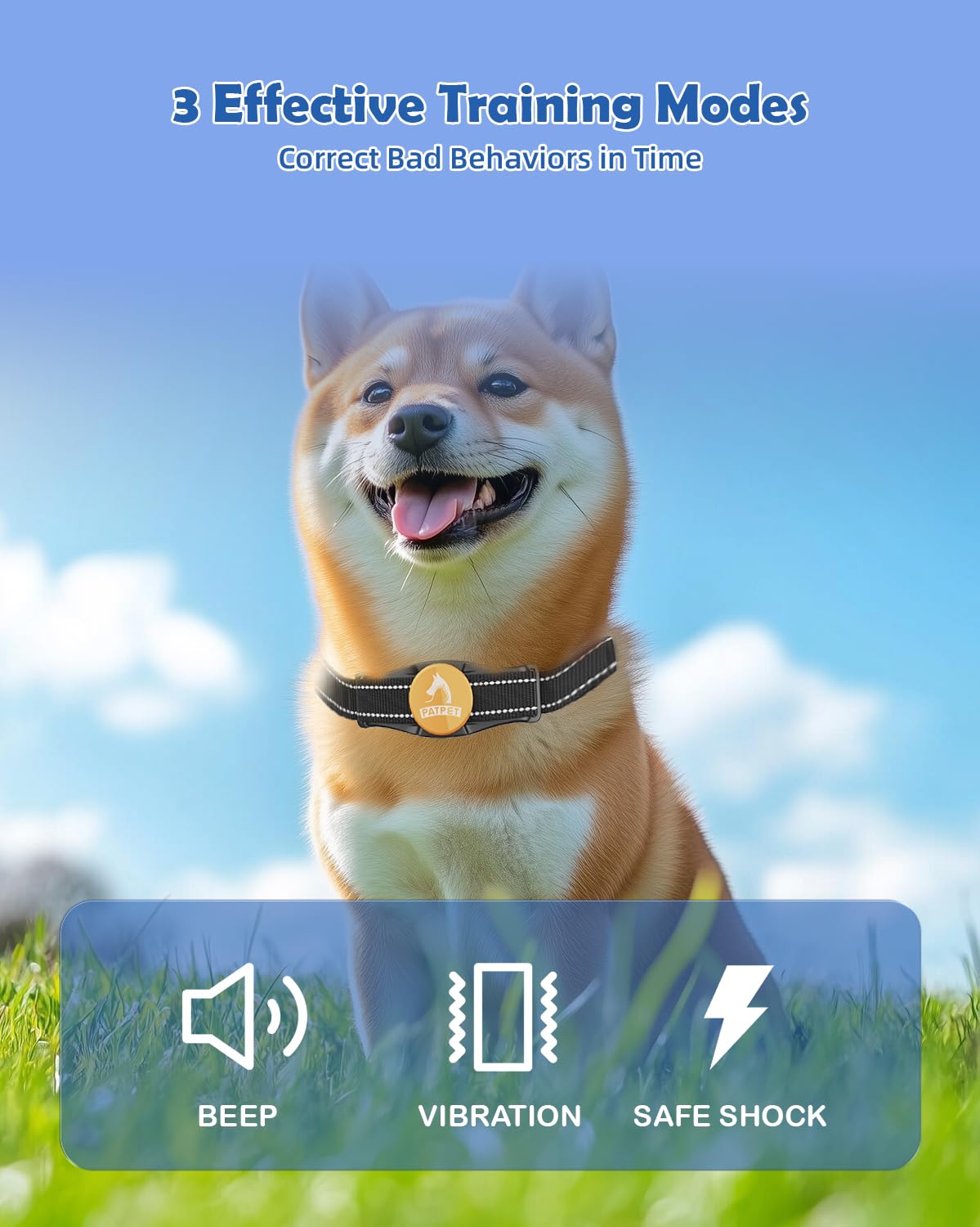 Patpet Dog Training Collar With Remote - 2 Receivers Dog Shock Collar For Large Medium Small Dogs Up To 1000Ft Control Range