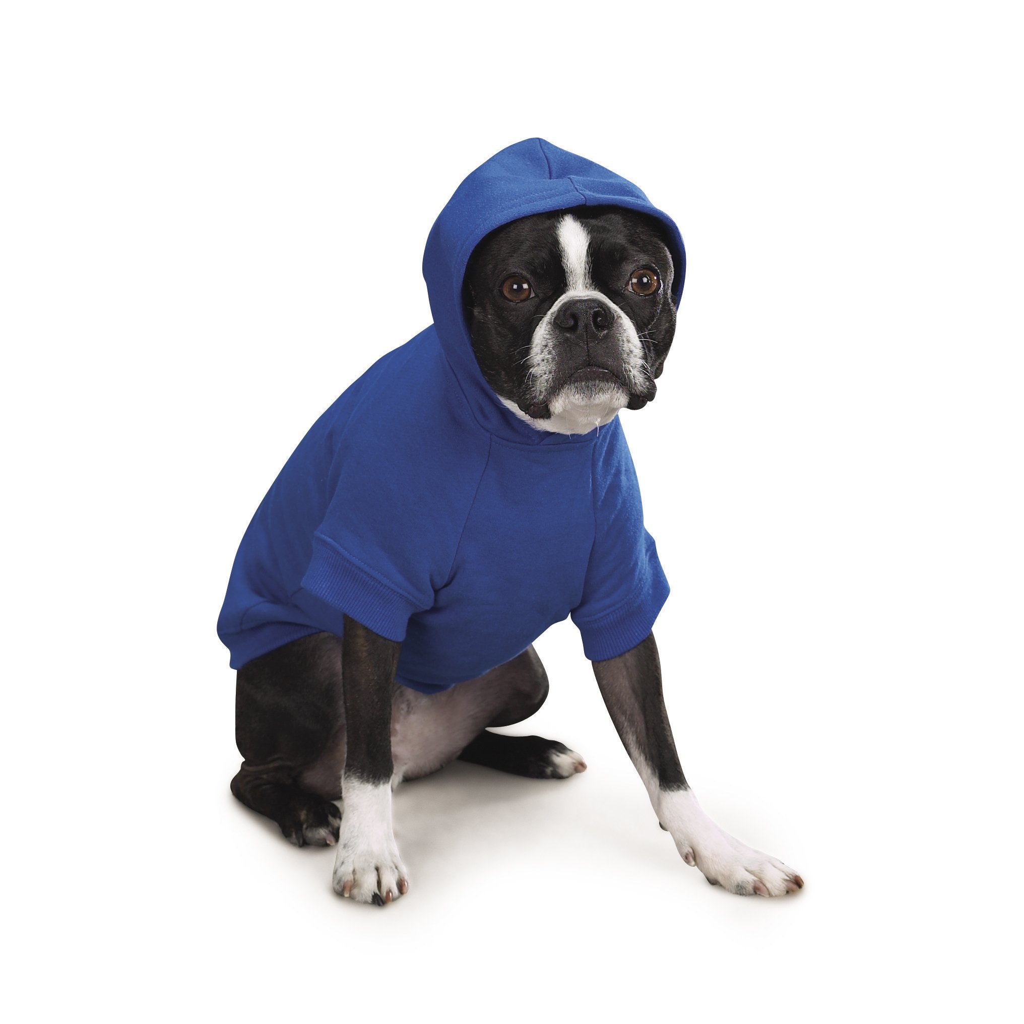 Zack & Zoey Basic Hoodie For Dogs, 16' Medium, Nautical Blue