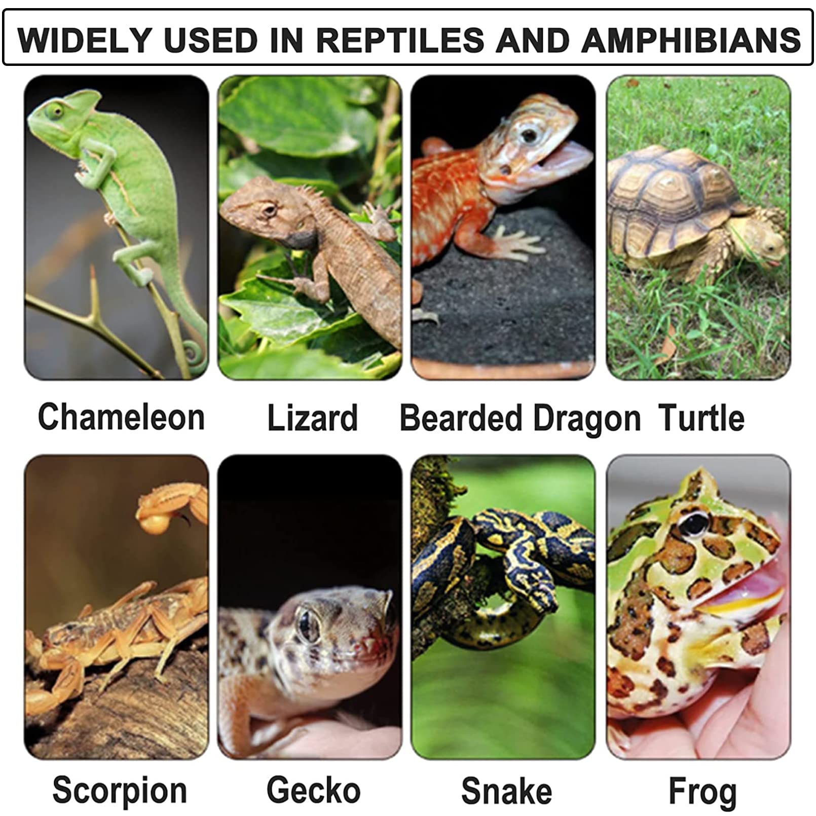 2 Pack 20W Reptile Heating Pad Tank Warmer With Temperature Control, Power Adjustment Under Terrarium Heater Heat Mat For Reptiles Turtle, Tortoise, Snakes, Lizard