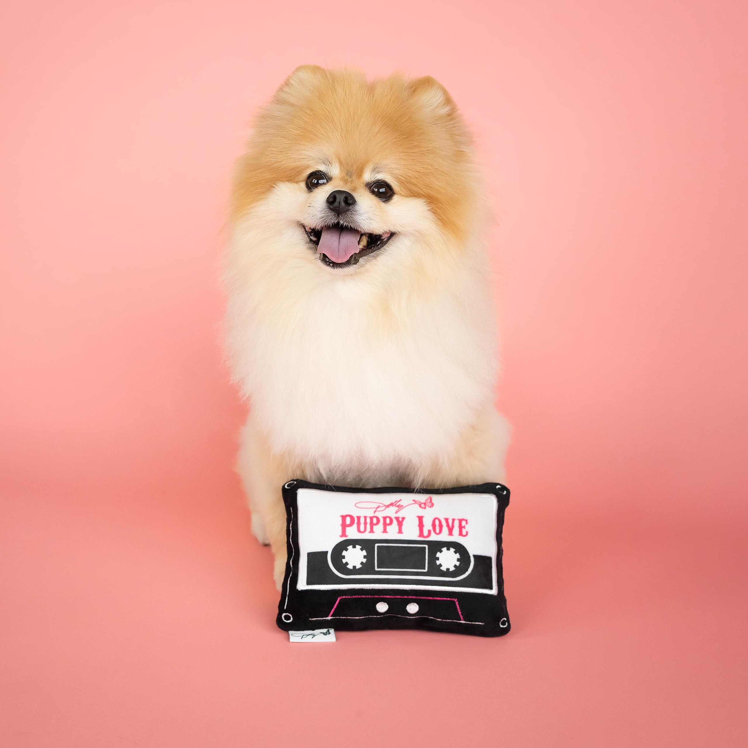 Doggy Parton Plush Dog Toys Collection - Puppy Love Tape