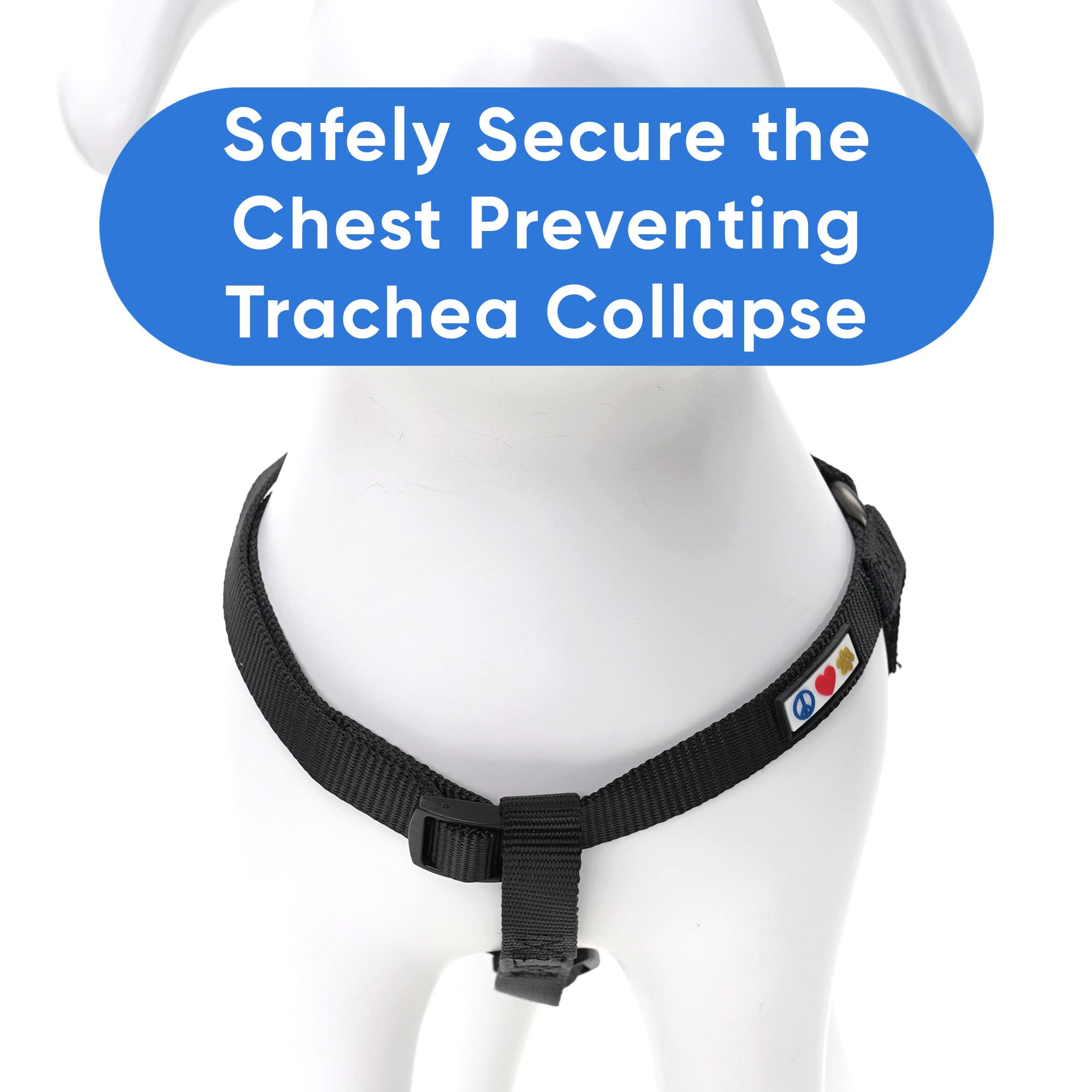 Pawtitas Reflective Step In Dog Harness Or Reflective Vest Harness, Comfort Control, Training Walking Of Your Puppy/Dog Small Dog Harness S Teal Dog Harness