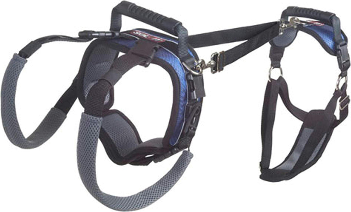 Petsafe Carelift Support Harness - Full Body Lifting Aid With Handle - Great For Pet Mobility And Older Dogs - Comfortable, Breathable Material - Easy To Adjust, Large