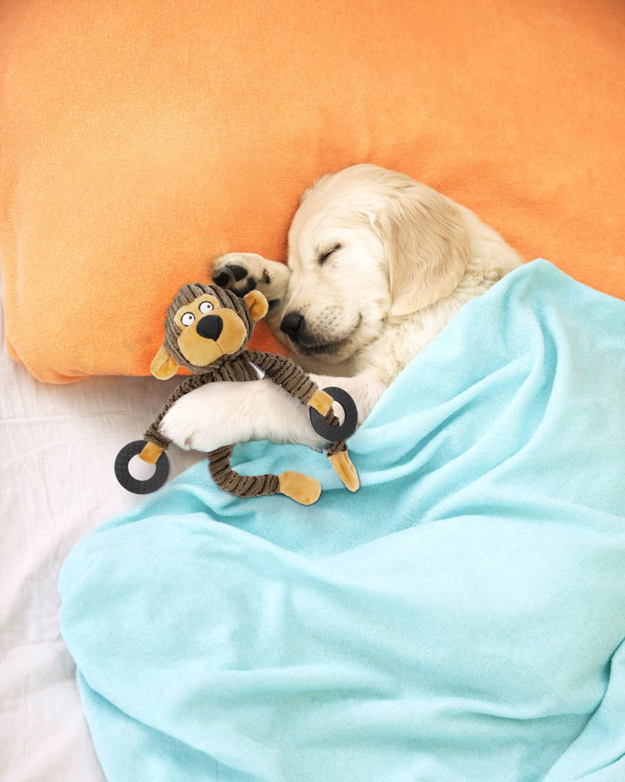 HGB Squeaky Dog Toys, Plush Dog Chew Toys for Puppy Teething, Pet Training and Entertaining, Cute Interactive Dog Toys for Small