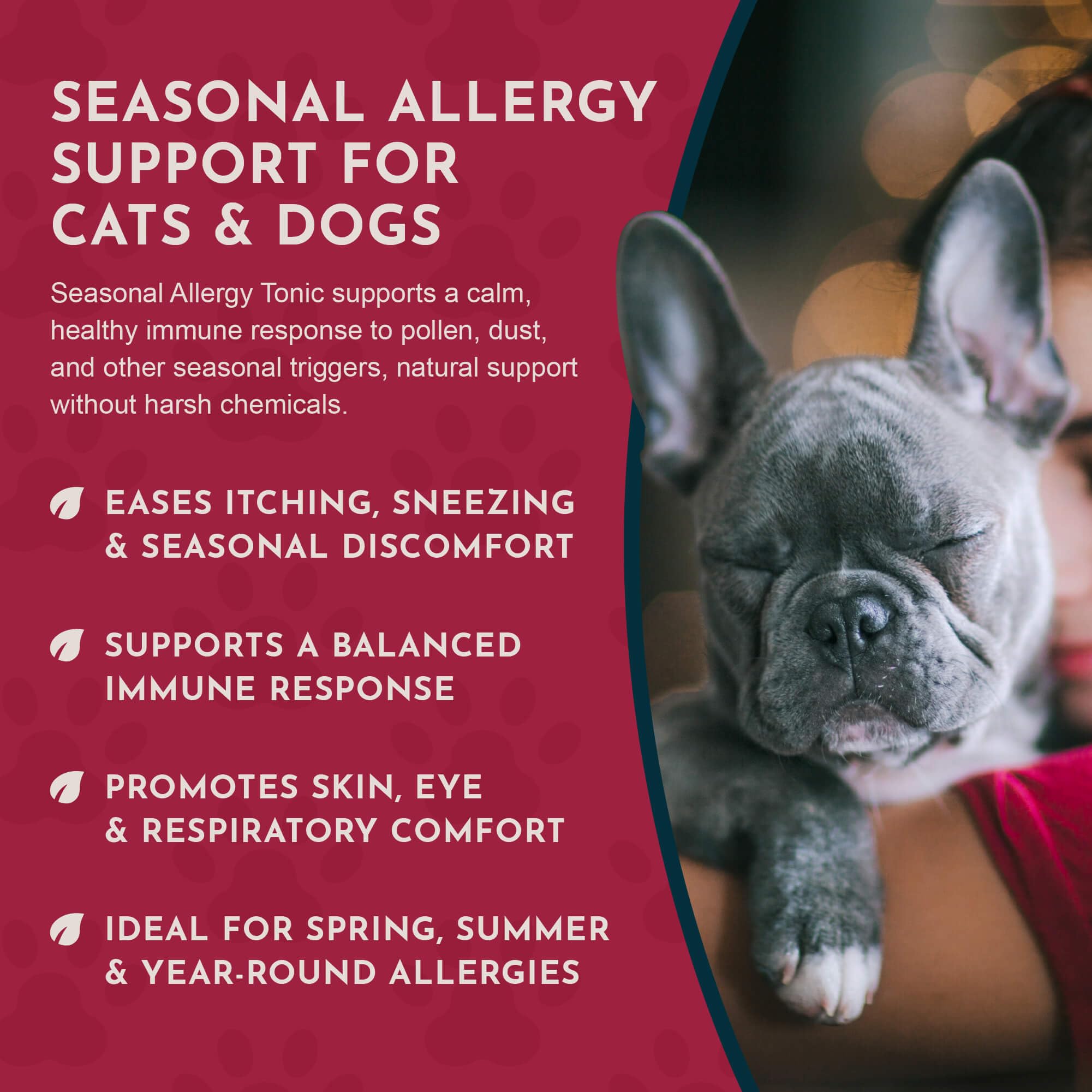 Animal Essentials Seasonal Allergy- Herbal Formula for Dogs & Cats for Occasional Allergy Relief, Sweet Taste, 100% Organic Huma