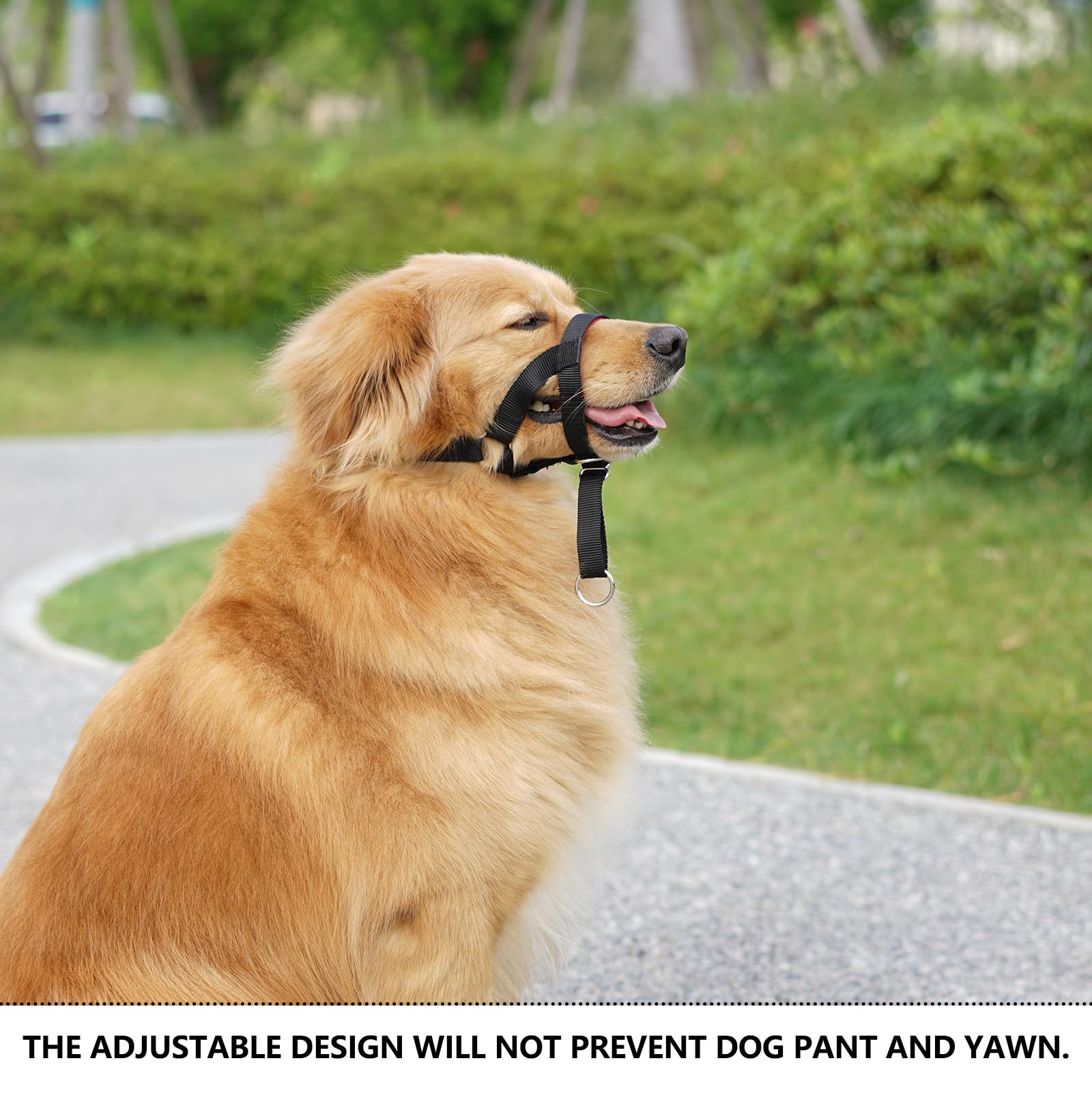 Dog Head Collar With Soft Fabric, Dog Head Harness For Dog To Stop Pulling With Adjustable Loop(M, Black)