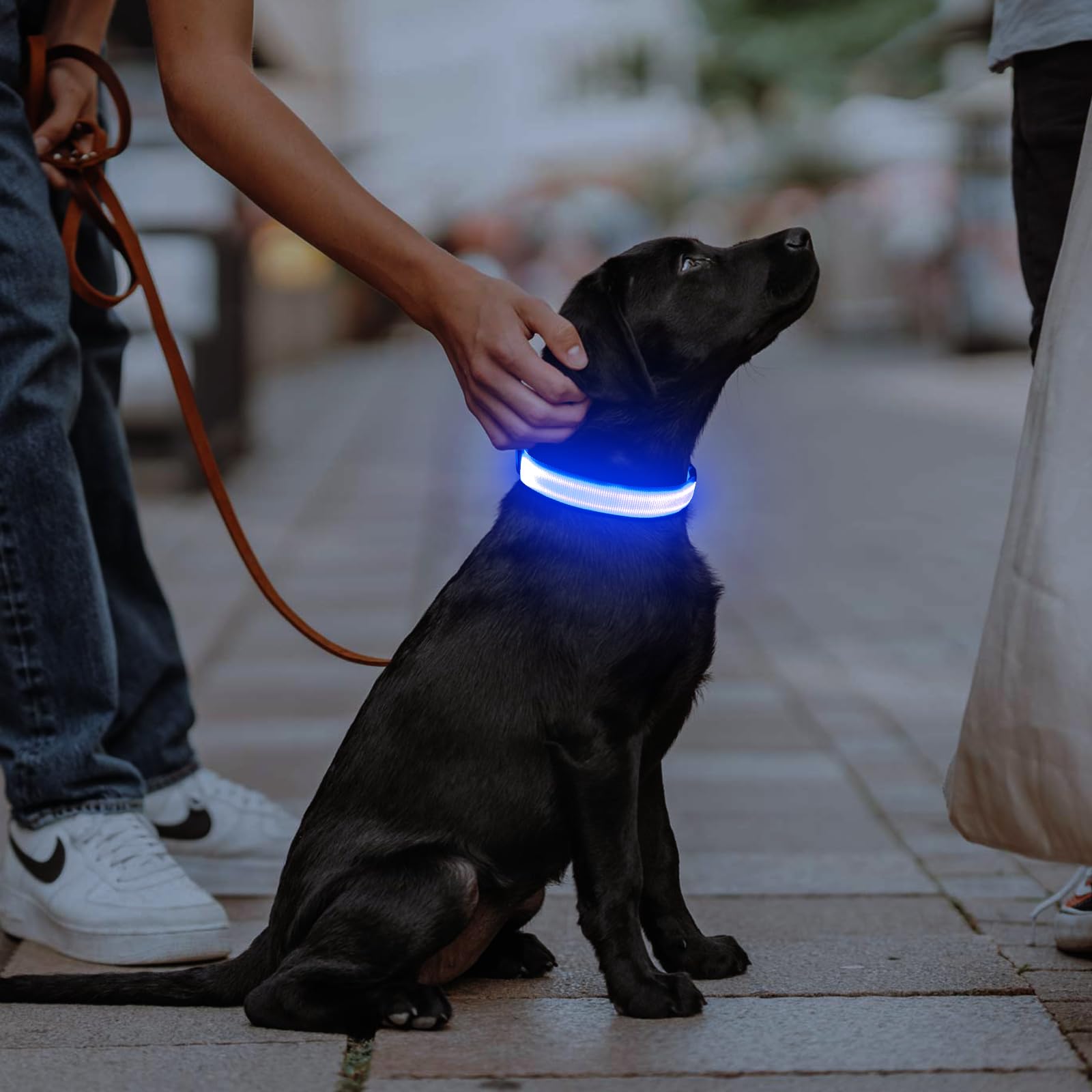 Illumifun Led Dog Collar, Usb Rechargeable Light Up Collar Glow In The Dark, Adjustable Safety Pet Light For Your Pups Walking A